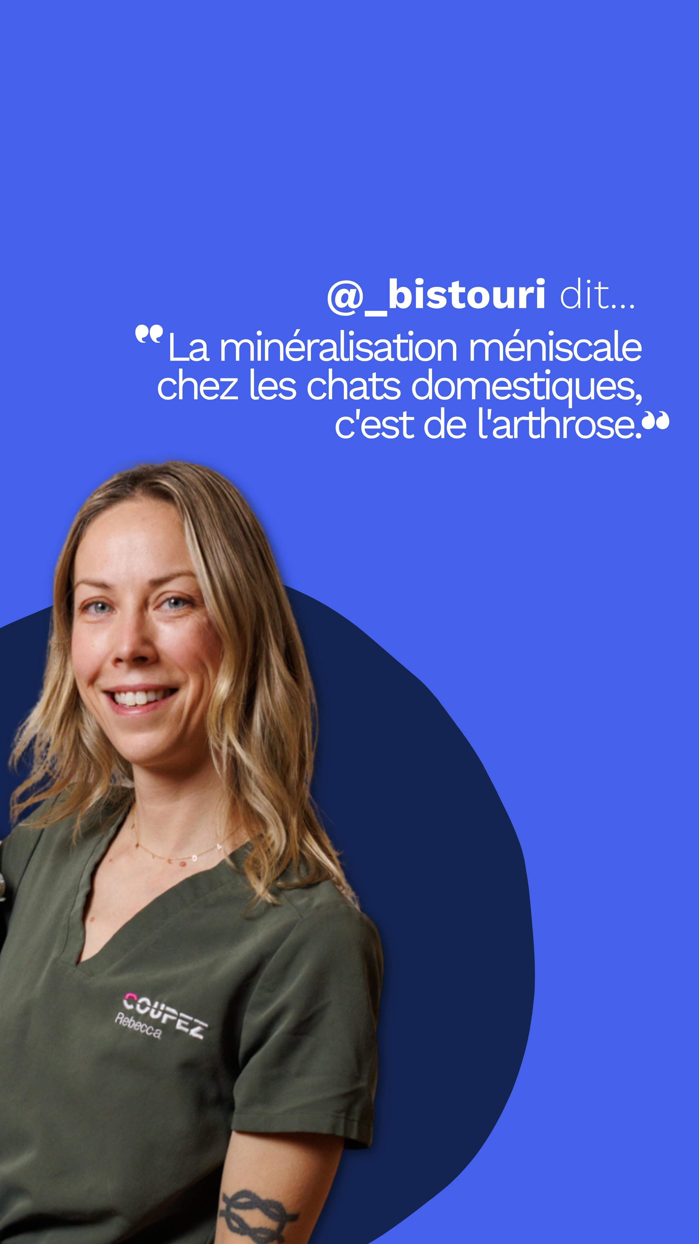 Avez-vous participé au quiz de lundi?
La bonne réponse était:
B) La minéralisation méniscale chez les chats domestiques est associée à de l'arthrose (OA). ✅