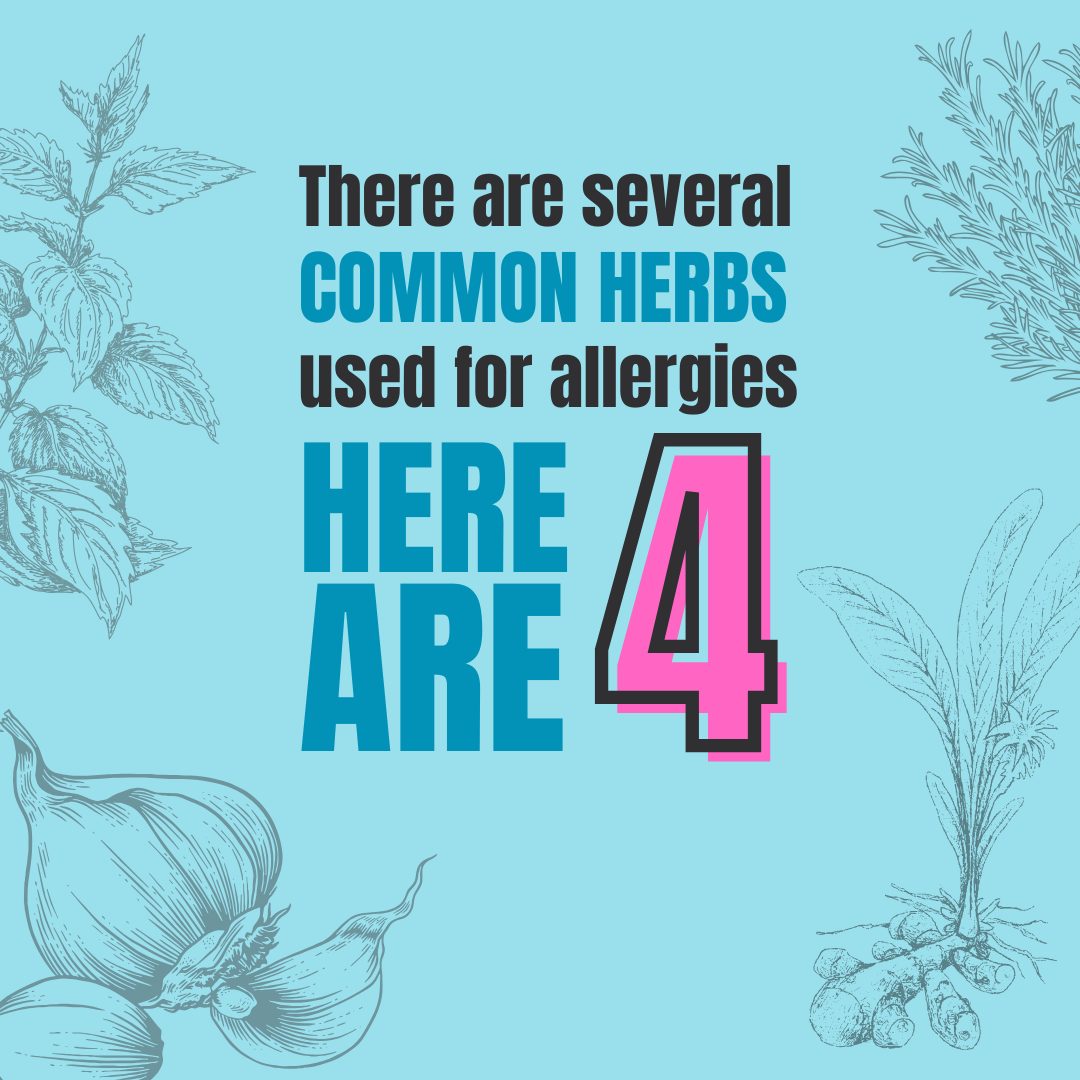 Food is medicine…well in this case, herbs are medicine.
There are so many ways to alleviate common symptoms related to allergies.
Here are 4 common herbs that are probably in your kitchen right now!
Do any of them sound familiar Have you tried them? Did they work for you?
#herbalmedicine #healingherbs #herbs #naturesmedicine #chinesemedicine #traditionalchinesemedicine #tcm #acupuncture #smallbusiness #womanowned #california #californiaacupuncturist #contracostacounty #pleasanthill #allergies #allergyreleif #booknow