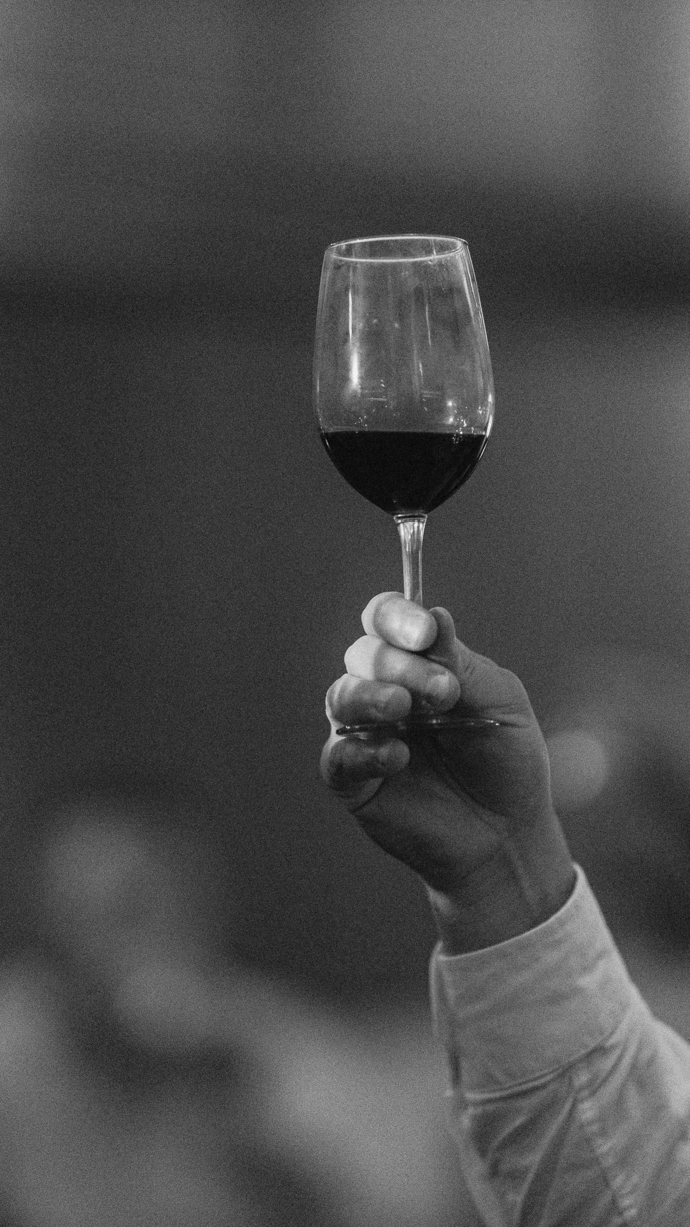 The team enjoyed an evening that set the tone with thoughtfully paired wines, incredible bites, and even better company. 🍷🧀✨ Thank you @thevintagehorse for such a memorable experience.
We took a moment to connect, recharge, and celebrate our team before the 2026 wedding season began. And it’s here! Kicking off this weekend & readier than ever! 💃
Event Design ll Event Experience || Connecticut Wedding Planner ll Luxury Wedding ll CT Wedding ll Destination Wedding ll Event Designer || All Sett Up Events
Wine & Cheese Pairing: @thevintagehorse
Cover Image: @amour_is_french