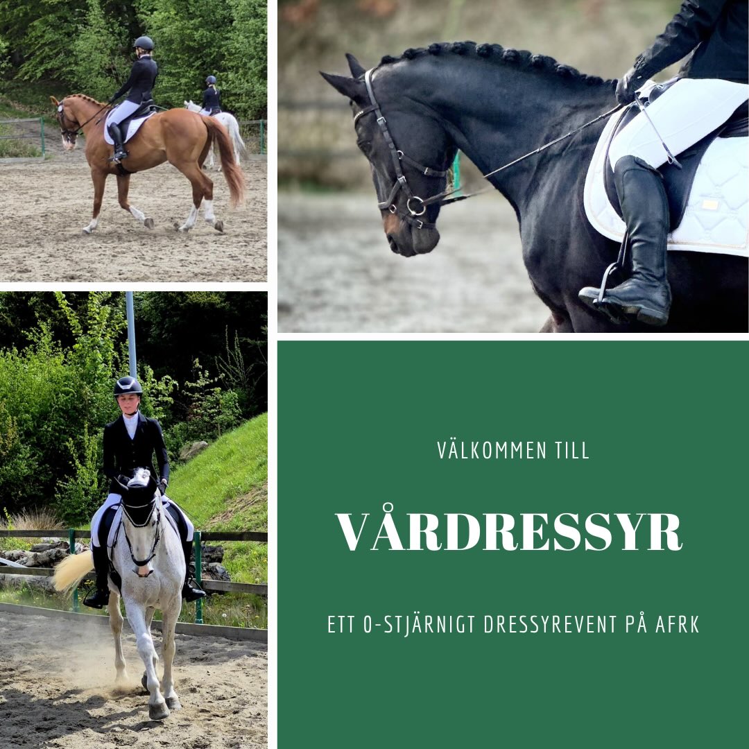 Du har väl inte missat att anmälan till AFRK:s Vårdressyr är öppen? Vårdressyren är en 0* tävling för ponny och ridhäst, söndag den 26 april 2026 och riktar sig främst till ekipage från andra klubbar.
Att eventet är nollstjärnigt innebär billigare licensavgifter och enklare regler – ett smidigt och tillgängligt första steg in i tävlingsvärlden för dig som vill prova på.
Vi erbjuder klasser från LD-LB. Första start kl 10.00. Tävlingsbana inomhus i manege 20 x 40 meter. Framridning på sandbana 30 x 70m, som ligger i direkt anslutning till manegen.
Du hittar tävlingen i TDB Tävlingsdatabasen: https://tdb.ridsport.se/meetings/80808
#afrk #tävling #dressyr