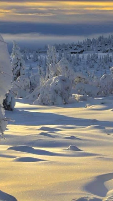 The power of an ear massage
#lillehammerspa
lillehammerspa #wellness #followers @followers
Små detaljer. Stor effekt.
En øre-massasje kan roe nervesystemet,
løsne spenninger og gi en dyp følelse av velvære.
✨ I dag har vi ledige timer på Relax massasje🔥 Dagens tilbud: Relax massasje -30%
📅 Ledige timer i dag – book nå, kopier og lim inn linken under, så tar deg direkte til dagens tilbud på relax massasje👇
https://www.lillehammerspa.no/service-page/dagens-tilbud-relax-spamassasje?referral=service_list_widget