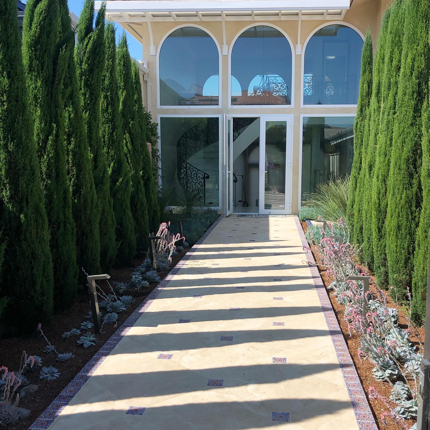 Gorgeous growth at this project’s front entrance 🙌🏻🌳🌿#sulisoinc #newportbeachhomes #landscape #orangecountylandscapes