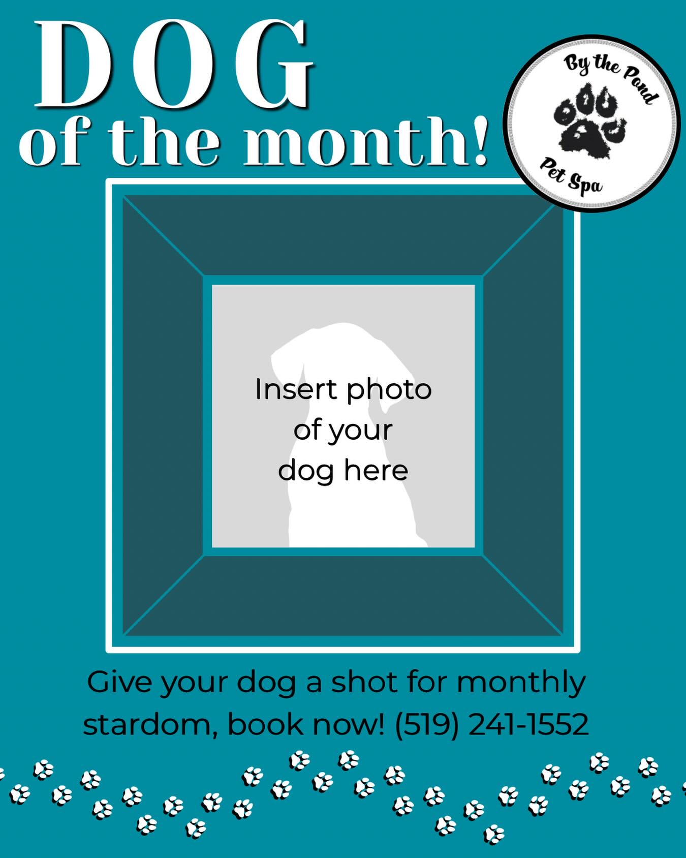We have hundreds of the best dogs as clients, so we’re letting YOU accept the Dog of the Month award for your furry friend(s)! We simply couldn’t choose 🤭⭐️
Text us today to book your dog in for a groom and achieve stardom: (519) 241-1552
#cambridgeontario #doggroom #doggroominglife #dogofthemonth #dogsofinstagram