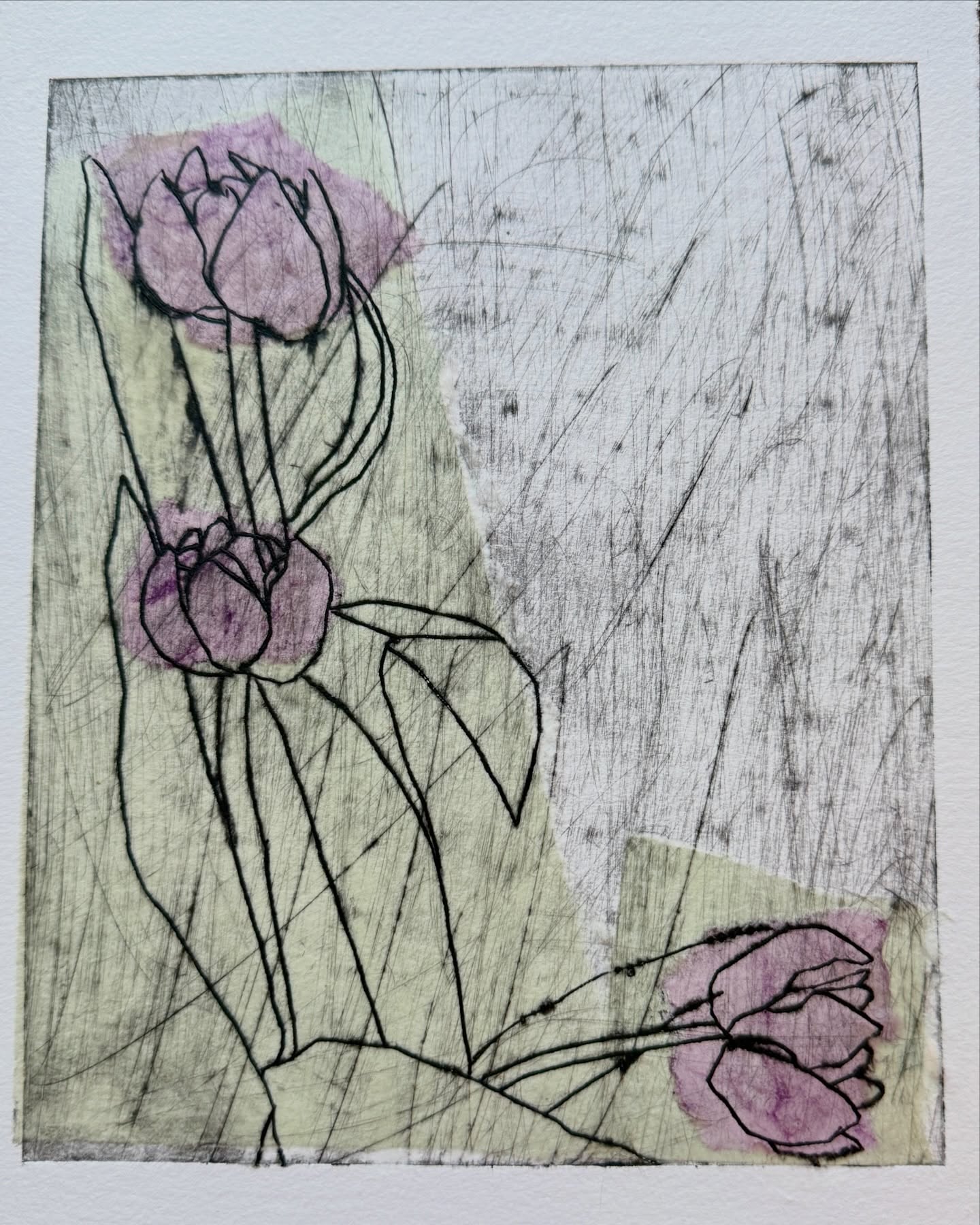 Had to be done, I cannot resist drawing the tulips on my work table! Drypoint with chine colle, paper gifted from @agasheshilpa and the first proof, monochrome, swipe to see. 22x17cm #saturdaystudio #bewickandwilsonpress #springflowers #drawingmatters