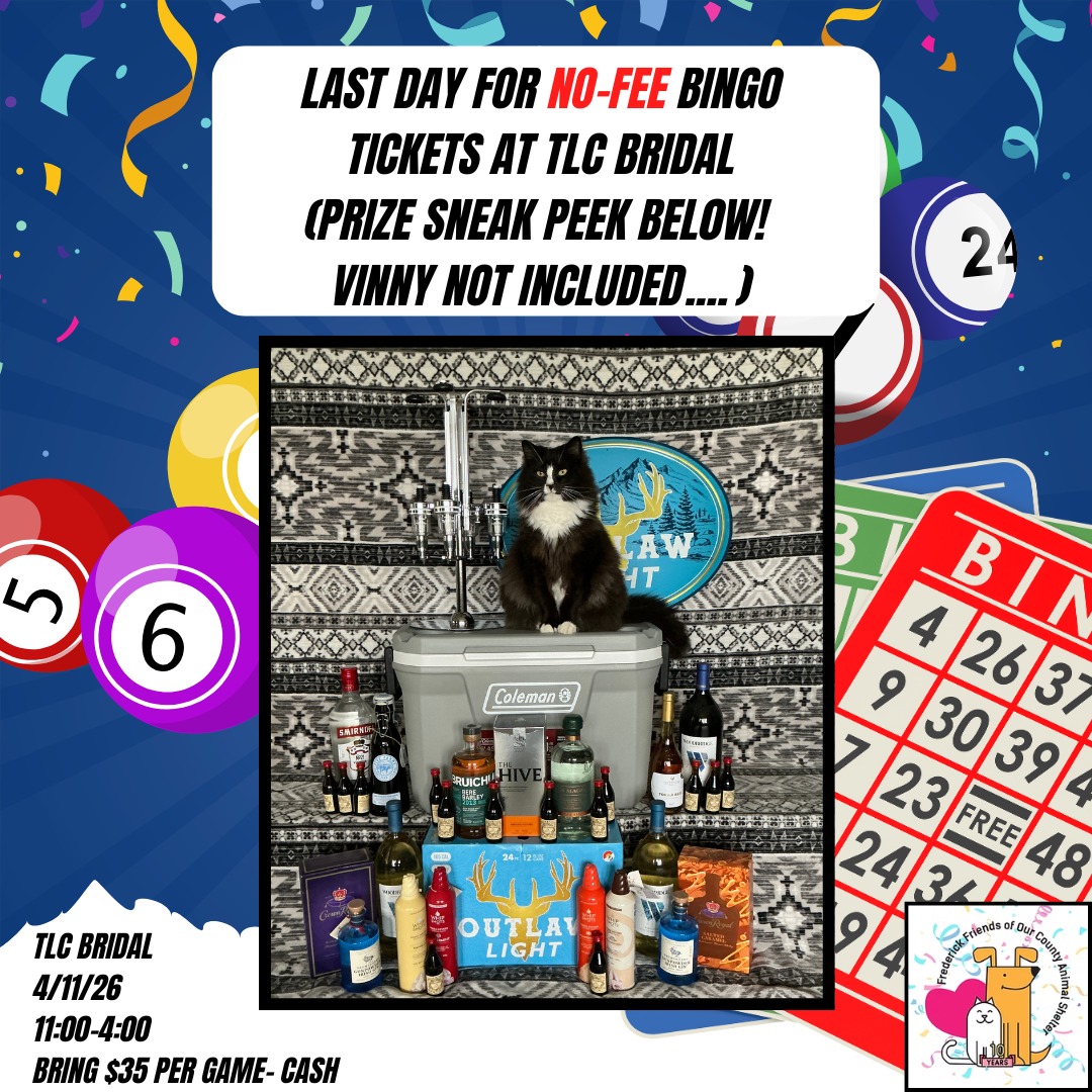 Last Call!
Our annual Bingo for our local homeless pets at @fredcoanimalshelter is on April, 19th!
We are so thankful to @tlcbridal for hosting Bingo ticket sales for cash for one last day TODAY 4/11 from 11:00-4:00! It's $35 per games so bring your cash and we will get you ready for Bingo!
You could win this cooler and all the adult goodies, over a $600 value, if you come play!
Don't want to wait? Book your tickets here!
https://FFOCASBINGO2026.eventbrite.com
#bingo #bingofans #bingopeople #binglovers #charitybingo #cashbingo #frederickmdbingo #homelesspets #ffocasfactfriday #shelterpets #boozebasket #coolerprize #amazingprize #bonusgames #adultgoodies #comeplay