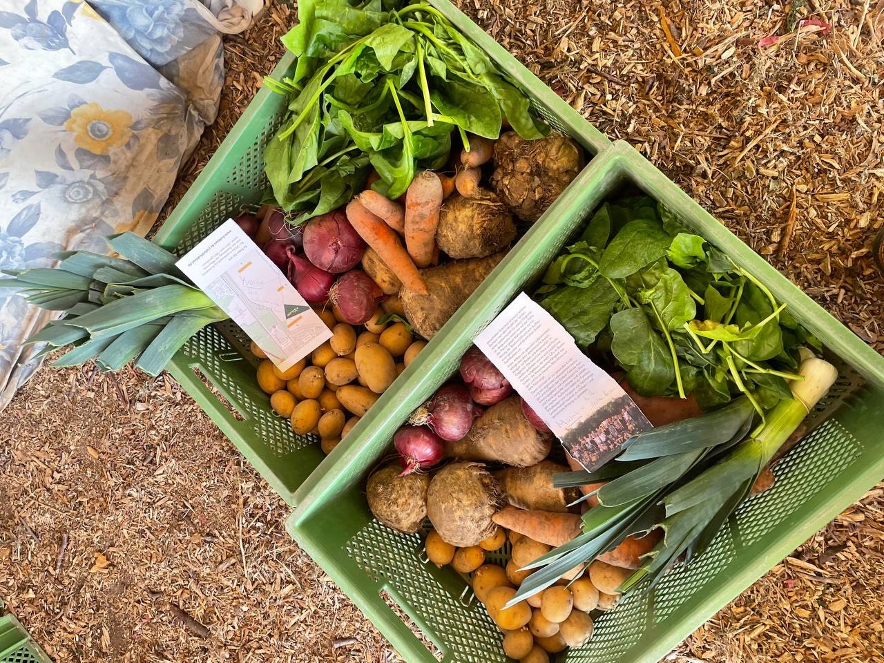 Wenn es mal schwierig wird mit dem Abholen der Kiste während der Abholzeiten findet sich immer ein lieber Mensch, der den Gemüseanteil abwiegt, zusammenstellt und schön arrangiert zur Seite packt. Auch das ist das Solidarische an der Solidarischen Landwirtschaft.