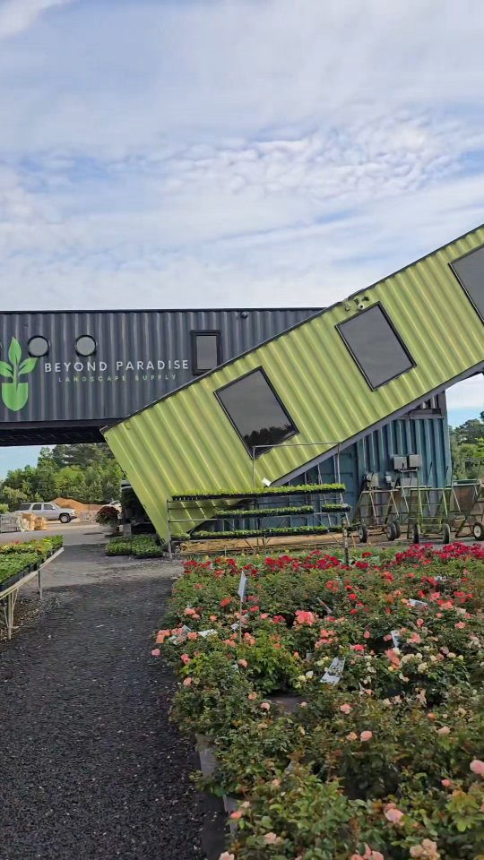 Just a stroll through the nursery, where something beautiful is always growing ✨️🌿
#beyondparadisenursery #gardencenter #tomballtx #plants #walkthrough