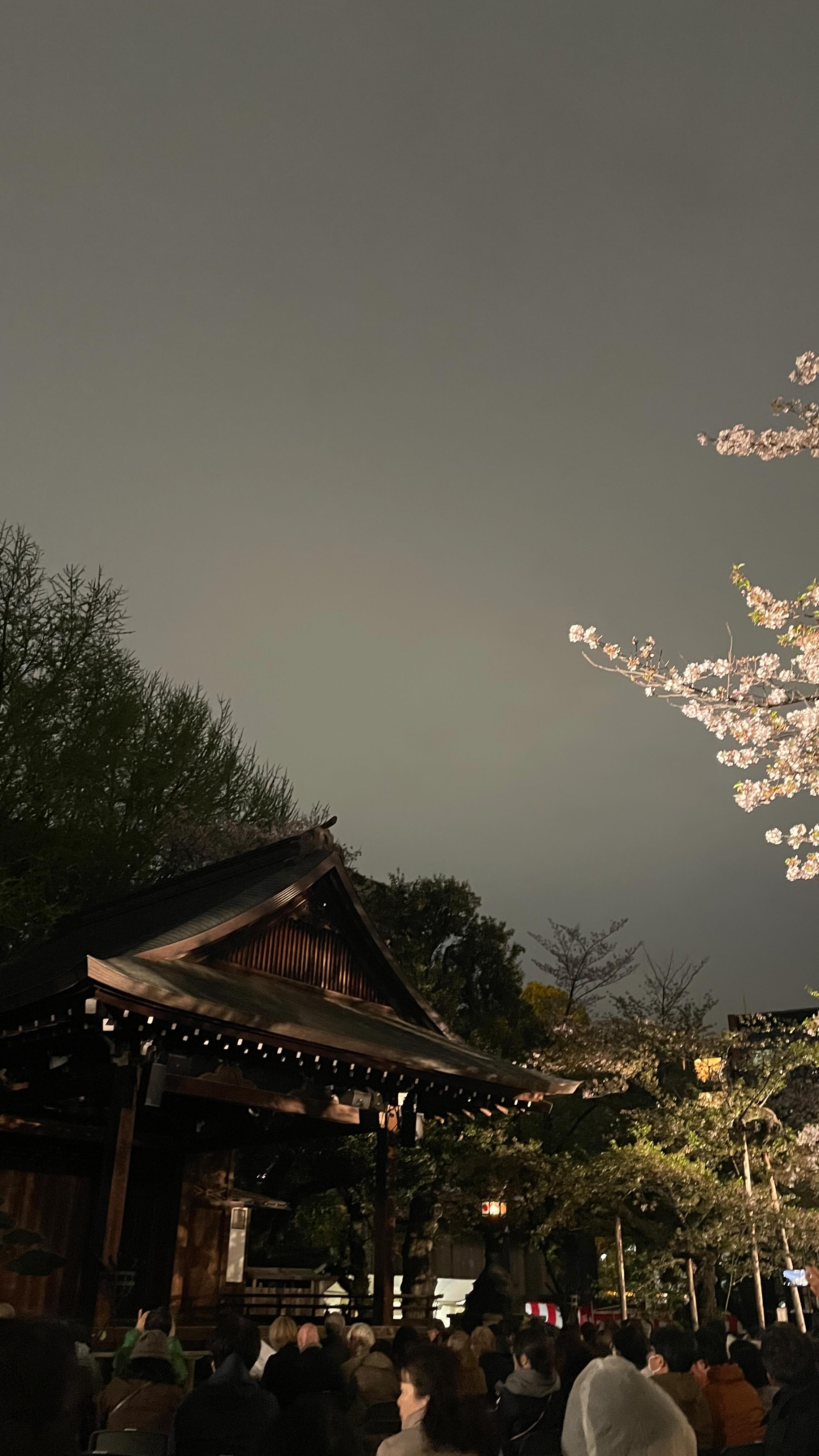 雪のように桜舞い散る中
今年も「夜桜能」へ生徒さん達と。
小袖が風に膨らみ、ちらちらと白い花びらが
舞台と私たちの間に落ちる。
自然に抱かれながら幻想的な空間に身を置いての
能狂言は格別でした。
ぴたと動かずに位置を変えることは至難の技。動いているのに動いていないかのよう。人のような人でないような、夢と現を往来しながら、一種のトランス感を覚えるのは能舞台ならではだと思います。
今年も来れて良かった。
奉納靖國神社 夜桜能
第二夜 2026年4月7日
能「国栖」の蔵王権現が素晴らし
#夜桜能
#大人の遠足