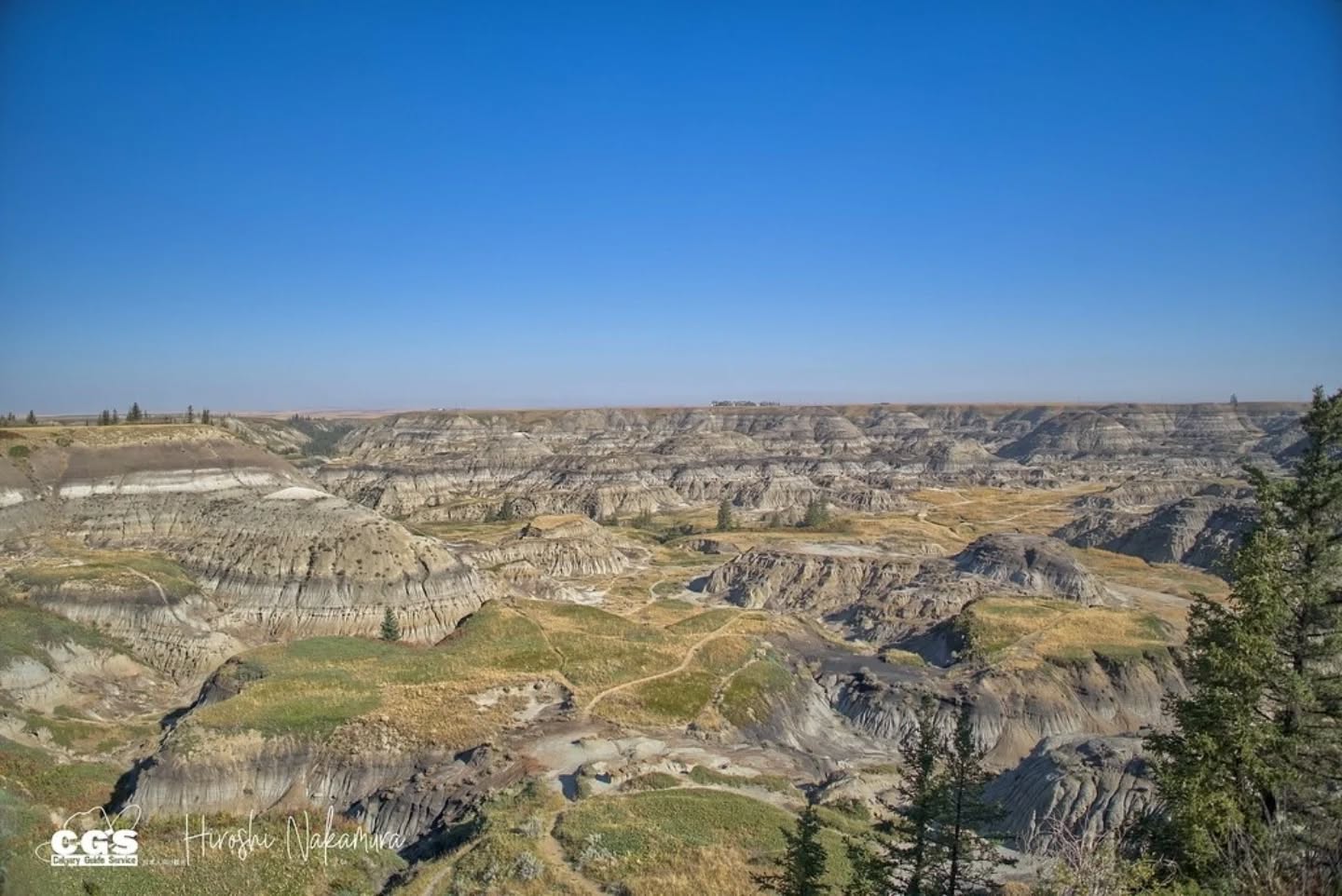 ドラムヘラー観光
バンフ発