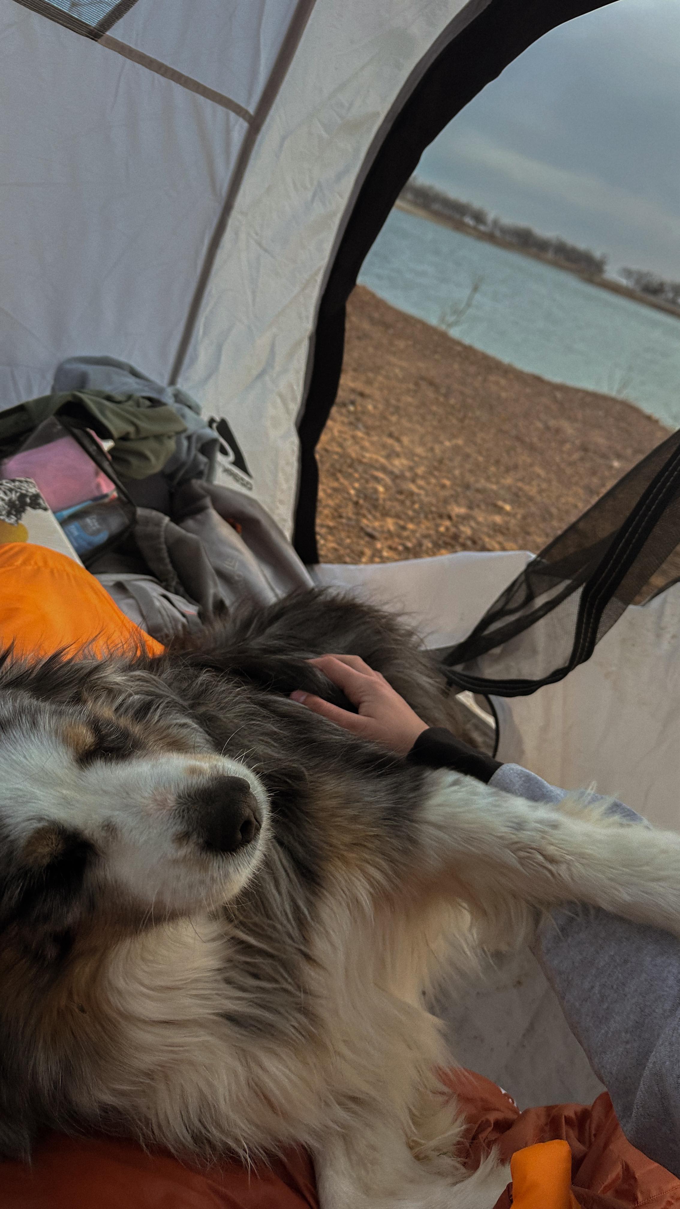 camping with carolina and her very special guest is out now on YouTube!
#travel #outdoors #campingvlog #youtube