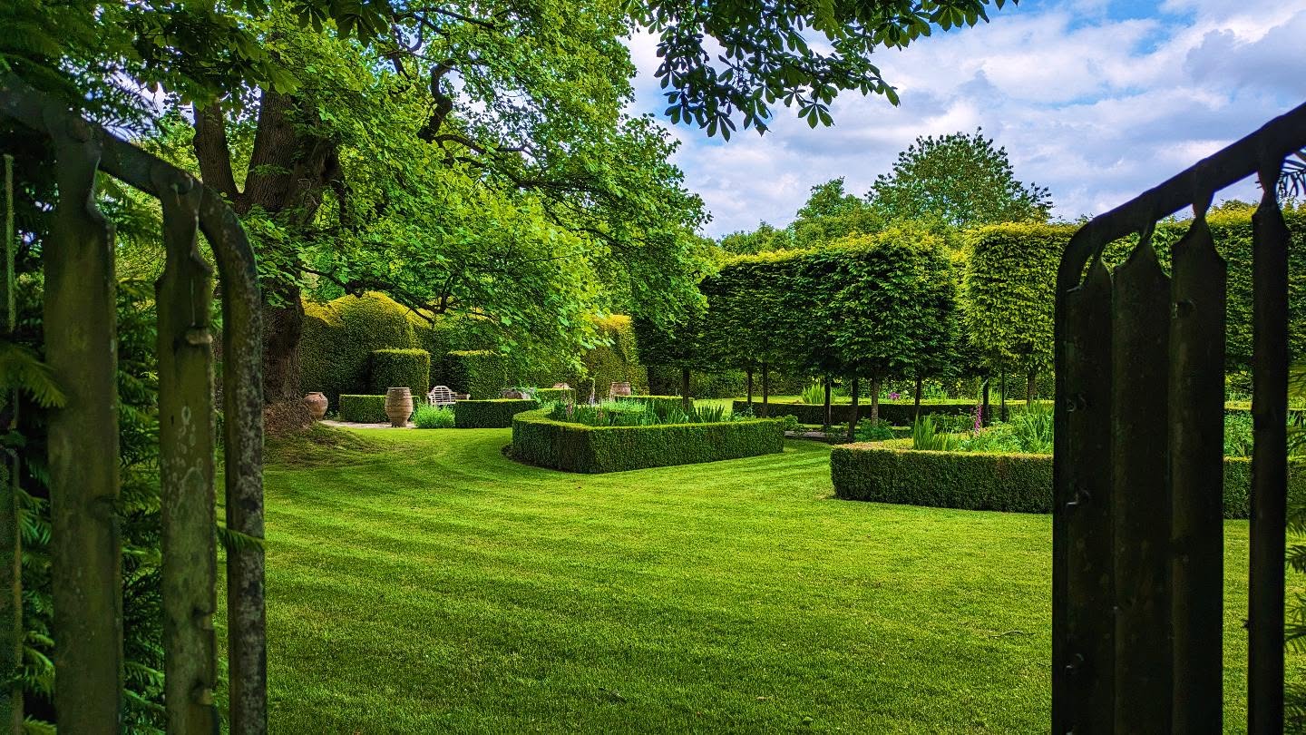 A very small section of a client's garden, where we supply garden maintenance a couple of days a week.
#bloomsford #gardening #garden #gardencommunity #meonvalley #hedges #gardeninspiration #gardenlove #outdoors #gardenlover