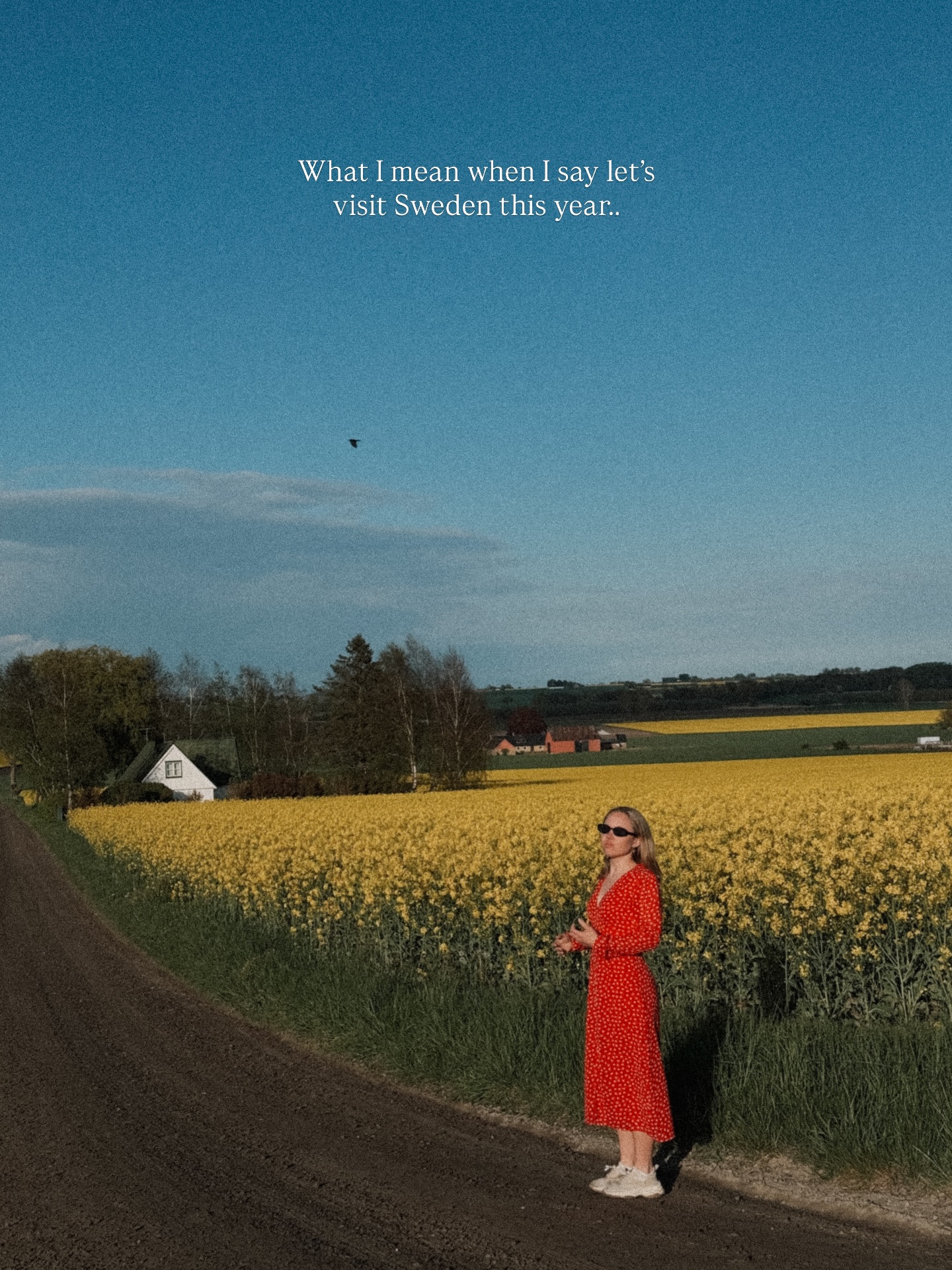 My love letter to Sweden 🤍 Tell me about your favourite place in Sweden if you live here or have visited a place you still dream about 🌞
• Sweden travel • Sverige resor • best places Scandinavia • Scandinavian itinerary • Scandinavia gems • hotel experience • staycation • Sweden hotel • unique hotels Sweden • bästa hotell Sverige