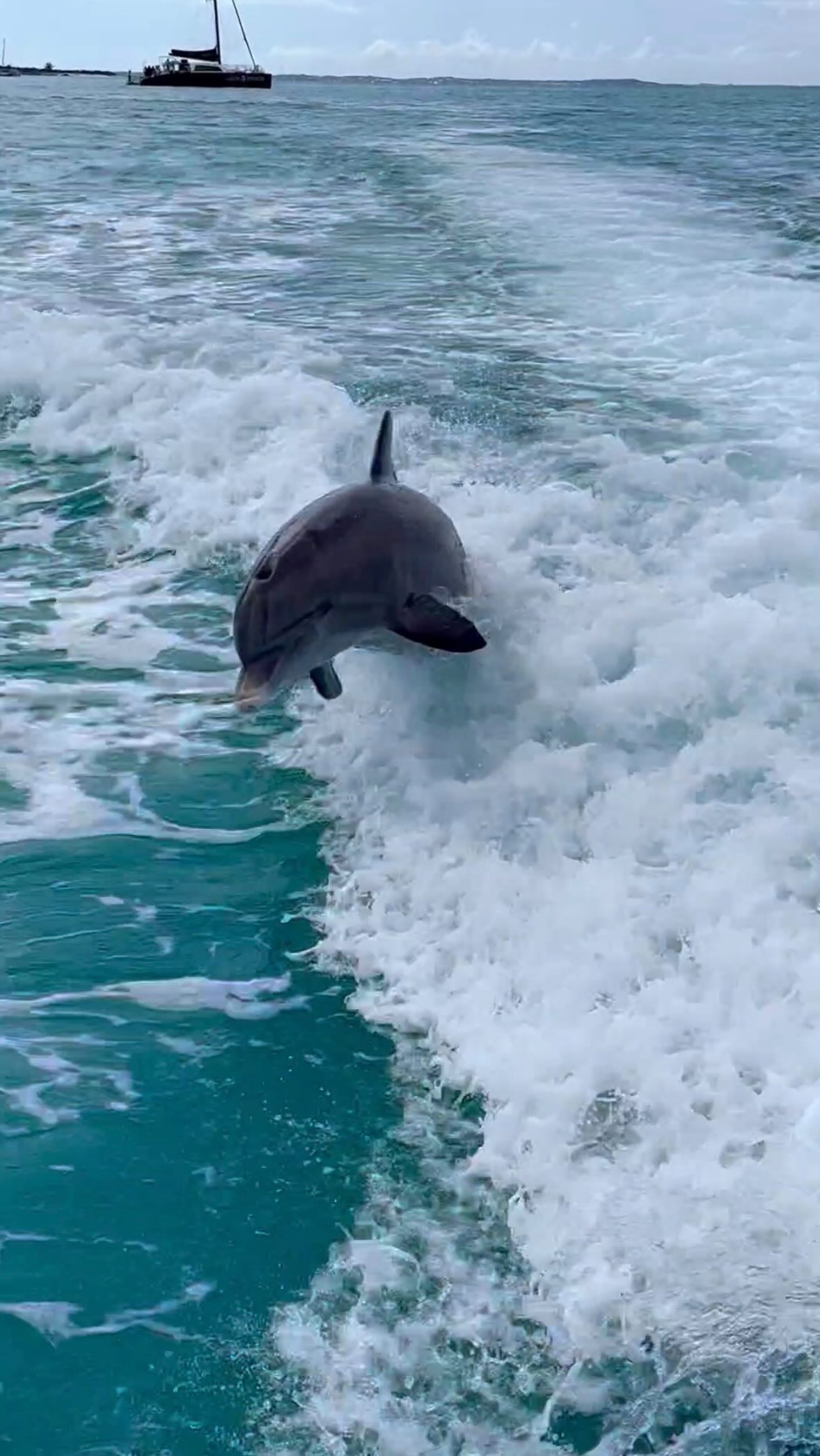 I was made for the island life 🌺🌴☀️🥥🌊
•
•
•
#islandlife #islandlifestyle #naturelover #natureheals #oceanhealing