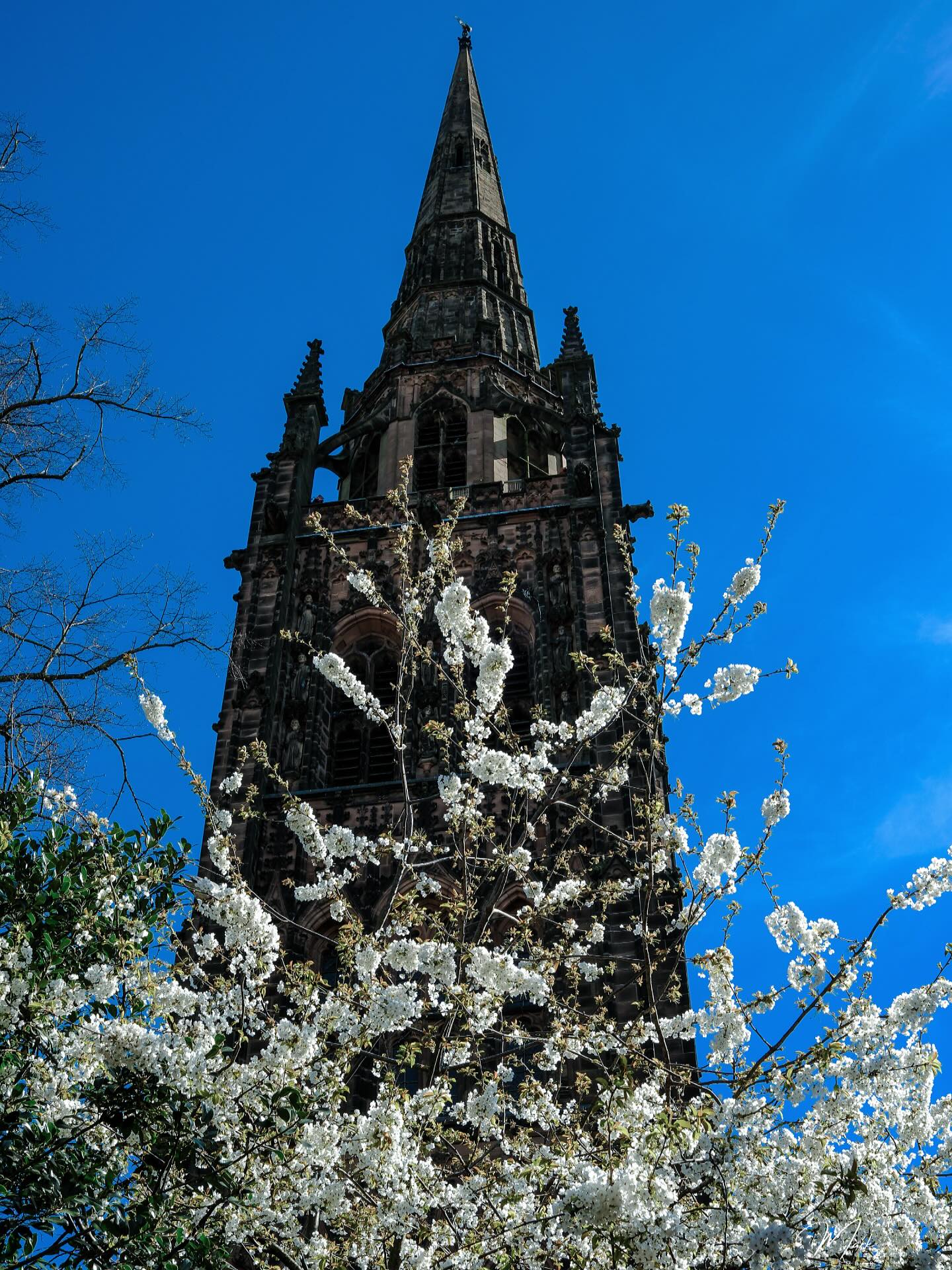 I’ll leave you tonight with St Michael’s Spire in Spring #coventry_cathedral #bbc_midlands #bbccwr #springhassprung