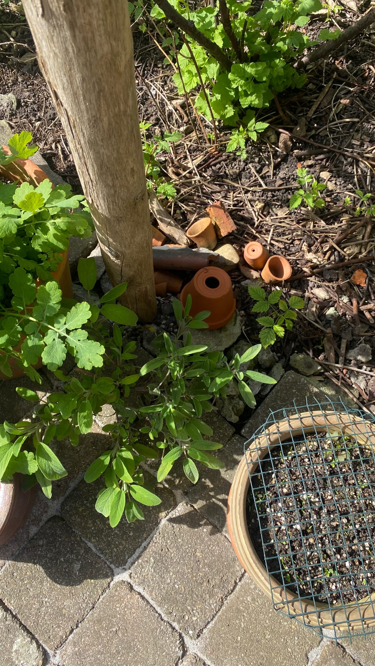 👇 LIS ÇA👇
Ton corps fonctionne avec deux modes principaux :
Le système nerveux sympathique
👉 c’est le mode survie
👉 il s’active quand ton corps perçoit un danger
👉 il mobilise ton énergie pour fuir, gérer, performer
Le système nerveux parasympathique
👉 c’est le mode sécurité
👉 digestion, réparation, hormones, fertilité
👉 c’est là que ton corps peut vraiment guérir
💥 Le souci, c’est que beaucoup de femmes vivent en permanence en mode sympathique…
👉 pression
👉 perfectionnisme
👉 peur de mal faire
👉 besoin de plaire
👉 émotions non exprimées
Même si extérieurement tout va bien… ton corps, lui, perçoit un danger !!
🔥 CONSÉQUENCE
Il dérègle tes hormones
Retarde l’ovulation
Ralentir ta digestion
Nourris l’inflammation
Empire le sommeil
➡️ acné, SPM, fatigue, ballonnement, cycles longs …
Mais du coup, tu peux avoir l’alimentation parfaite… les meilleurs complément etc
Si le système nerveux n’est pas régulé tu n’arriveras pas à réguler tes symptomes
👉 La vraie base = ramener de la sécurité dans ton corps
D’ailleurs, souvent, c’est inconscient.
tu as appris à être forte
à ne pas déranger
à tout gérer seule
à ne pas exprimer
C’est pour ça que aujourd’hui, la régulation du système nerveux fait entièrement partie de mon accompagnement Happy Hormones ✨🫶
Parce qu’on ne peut pas régler un corps en état d’alerte permanente.
🎯BILAN OFFERT
Si tu veux comprendre ce qui bloque vraiment de ton côté …
👉 Commente « BILAN » pour accéder a ton bilan offert et identifier ce qui dérègle tes hormones.
✨Ton corps n’est pas contre toi.
Il essaie juste de te protéger.
Apprends à lui redonner de la sécurité… et tout peut changer 🫶