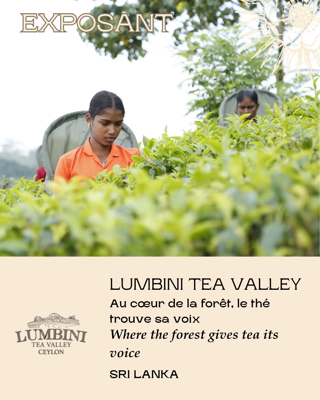 🇫🇷 ✨ NOUVEL EXPOSANT – LUMBINI TEA VALLEY ✨
📍 🇱🇰 Sri Lanka
Au cœur de la forêt, le thé trouve sa voix.
Fondée en 1975 par la famille Jayawardana, Lumbini Tea Valley est née au bord de la forêt tropicale de Sinharaja, sanctuaire naturel classé au patrimoine mondial de l’UNESCO.
Là, dans une nature d’une richesse rare, chaque feuille de thé porte l’empreinte d’un terroir vivant, façonné par la pluie, la biodiversité et le savoir-faire des femmes et des hommes qui le cultivent.
Depuis plusieurs générations, la maison cultive une vision exigeante du thé :
respect des traditions, recherche de profils aromatiques singuliers, et engagement profond pour une agriculture durable et équitable.
🌿 Un terroir unique, au cœur d’une forêt préservée
🤲 Une communauté de producteurs soutenue et valorisée
🍃 Des thés reconnus parmi les plus primés au monde
Un projet où la nature, la transmission et l’attention aux autres se rejoignent dans chaque tasse.
🇬🇧 ✨ NEW EXHIBITOR – LUMBINI TEA VALLEY ✨
📍 🇱🇰 Sri Lanka
Where the forest gives tea its voice.
Founded in 1975 by the Jayawardana family, Lumbini Tea Valley was born on the edge of the Sinharaja Rainforest, a UNESCO World Heritage site renowned for its extraordinary biodiversity.
In this lush environment, every tea leaf reflects a living terroir shaped by rain, nature, and the skilled hands of those who cultivate it.
For generations, the estate has pursued a clear vision:
honoring tradition, crafting distinctive flavor profiles, and supporting sustainable and fair farming communities.
🌿 A unique terroir rooted in a protected forest
🤲 Communities nurtured with care and respect
🍃 Teas recognized among the most awarded in the world
A story where nature, heritage, and responsibility meet in every cup.
📍 Paris Tea Festival
🗓 13 & 14 juin 2026
🎟 Billetterie disponible
#paristeafestival #ptfouiouioui🔥 #lumbiniteavalley