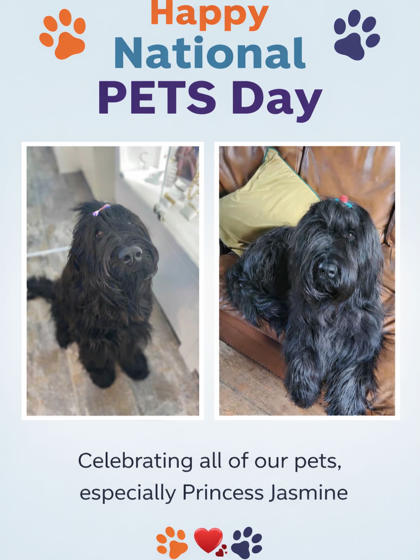 Life is better with our pets by our side 🐾