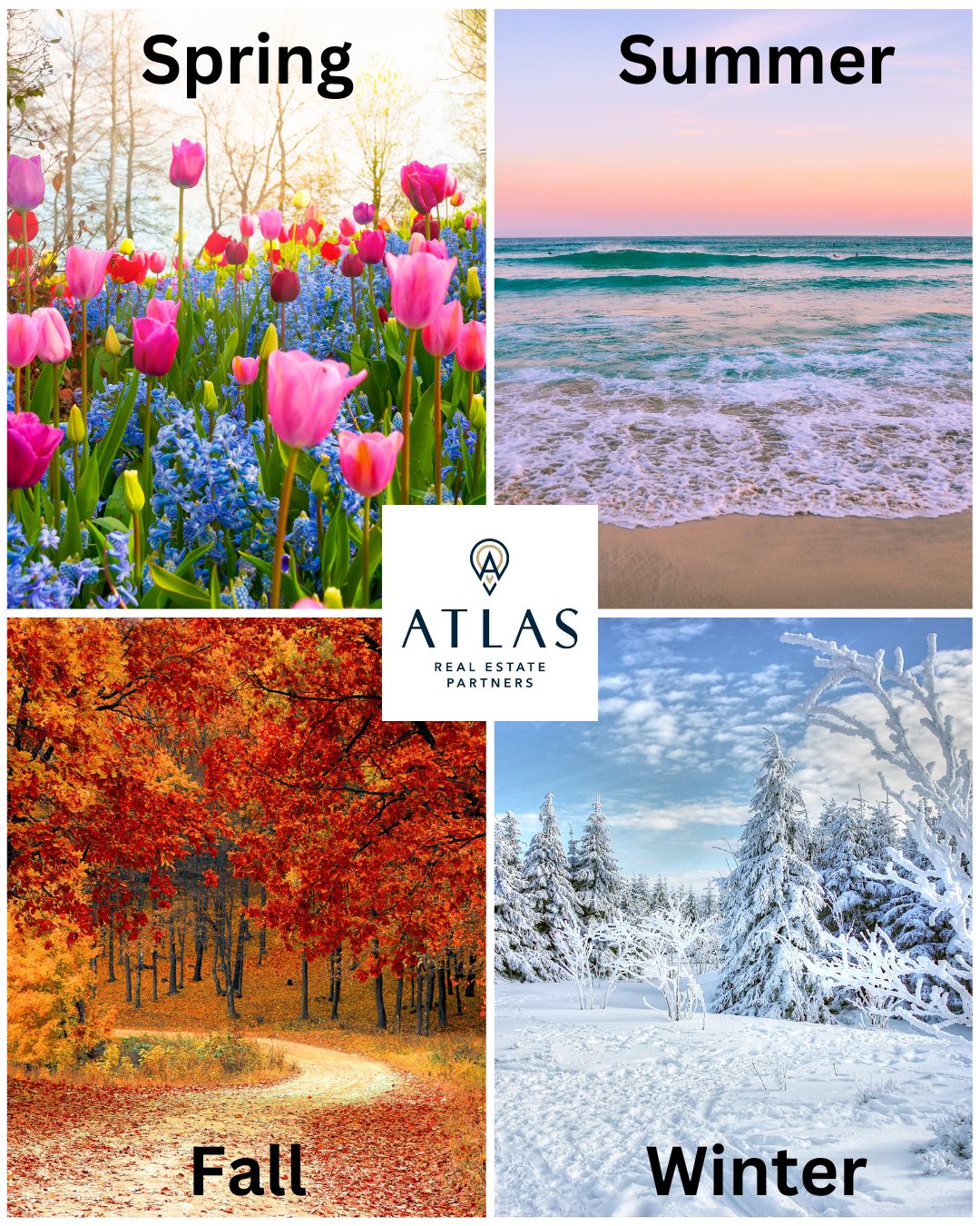 atlas_realestatepartners