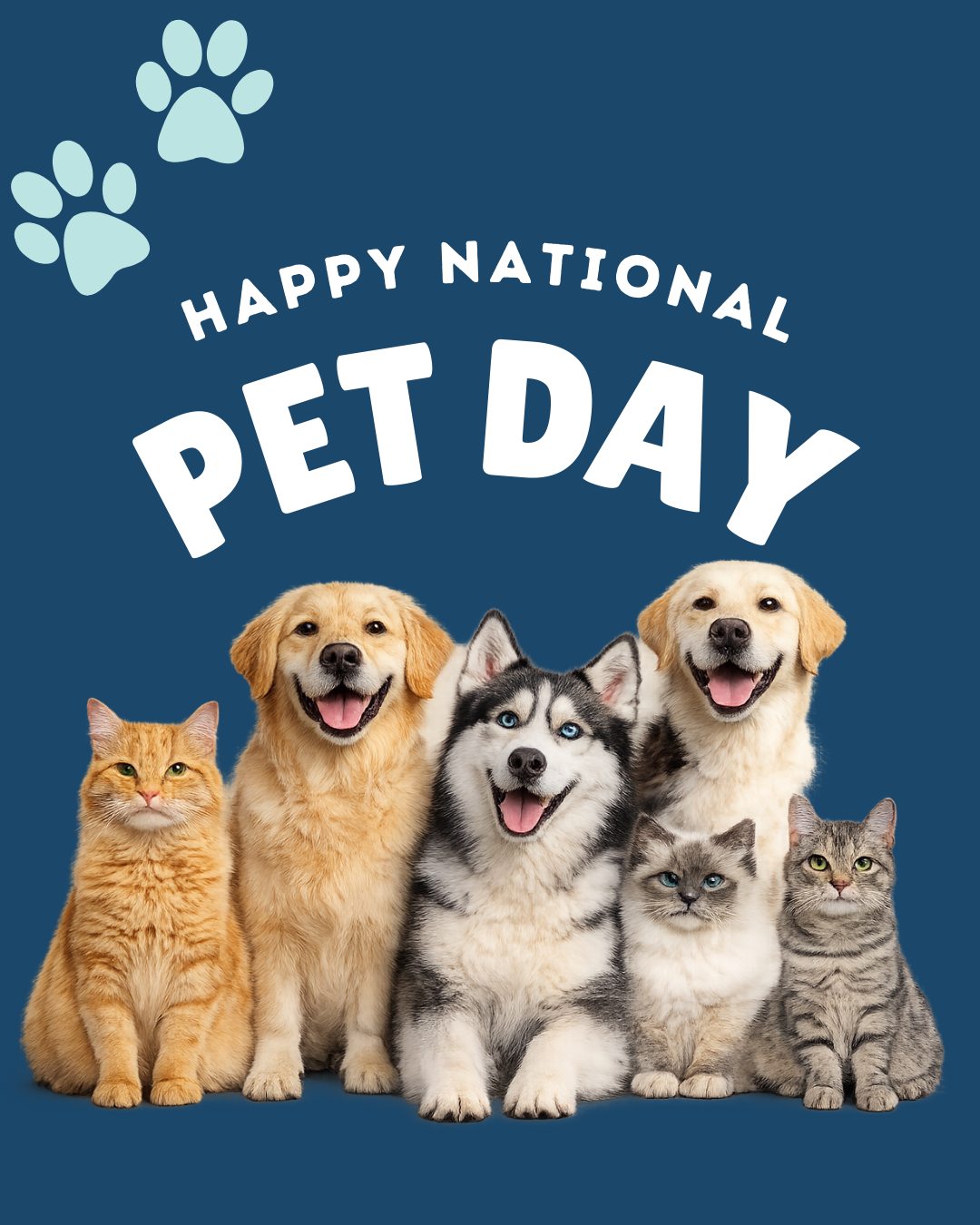 Today we celebrate the furry companions that make our lives better🐾
#petday #pets #loveyourpet #princeandpals #rescue #adopt