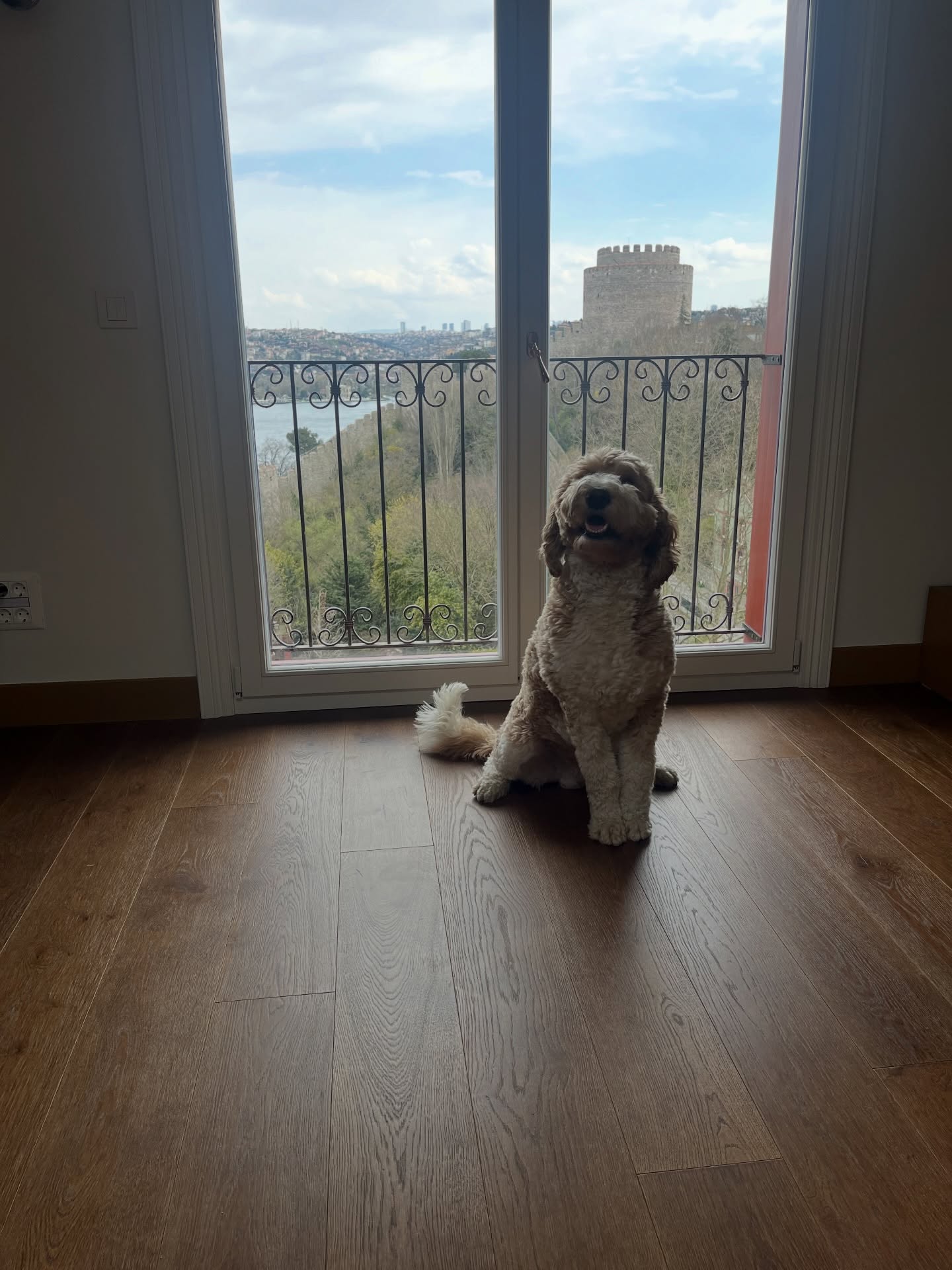 Where happy paws meet durable floors🐕
Ev sadece insanların değil, patili dostların da alanı.
Doğru seçilmiş bir lamine parke; çizilmeye dayanıklı yüzeyi, kolay temizlenebilir yapısı ve doğal dokusuyla hem estetik hem de pratik bir yaşam sunar.
Koşan patiler, dökülen tüyler, küçük kazalar… Hepsi bu zeminde sorun değil.
Çünkü iyi bir zemin, hayatın gerçek temposuna ayak uydurur.
Ürün: Meşe
Renk: @gazzotti_official Armagnac
Döşeme: Plank
Home isn’t just for people — it’s for our furry friends too.
A well-chosen engineered wood floor offers both style and practicality with its scratch-resistant surface, easy maintenance, and natural texture.
Running paws, shedding fur, little accidents… none of it is a problem here.
Because a good floor keeps up with real life.
Wood Species: Oak
Colour: @gazzotti_official Armagnac
Pattern: Plank
#NaturalLivingStartsFromTheFloor #PetFriendlyLiving #LamineParke #HüniParke ahşapzemin