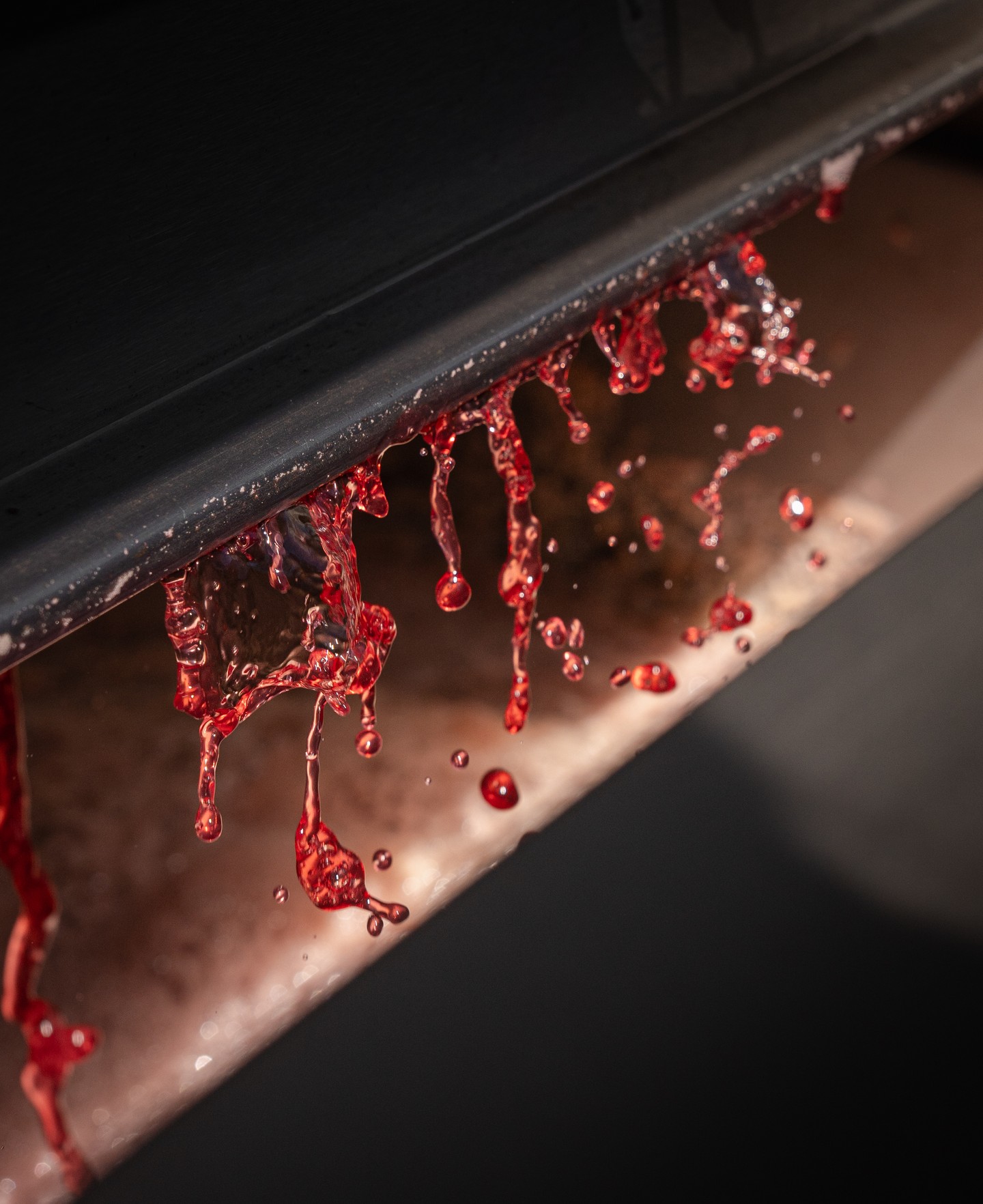 Straight from the press - the deep colour and intensity of the 2026 vintage already showing what's to come.
It's been a tough season on the estate, but the quality and character of fruit being processed is very promising.
#mounttowrong #macedonranges #macedonrangeswine #vintage2026 #winemaking