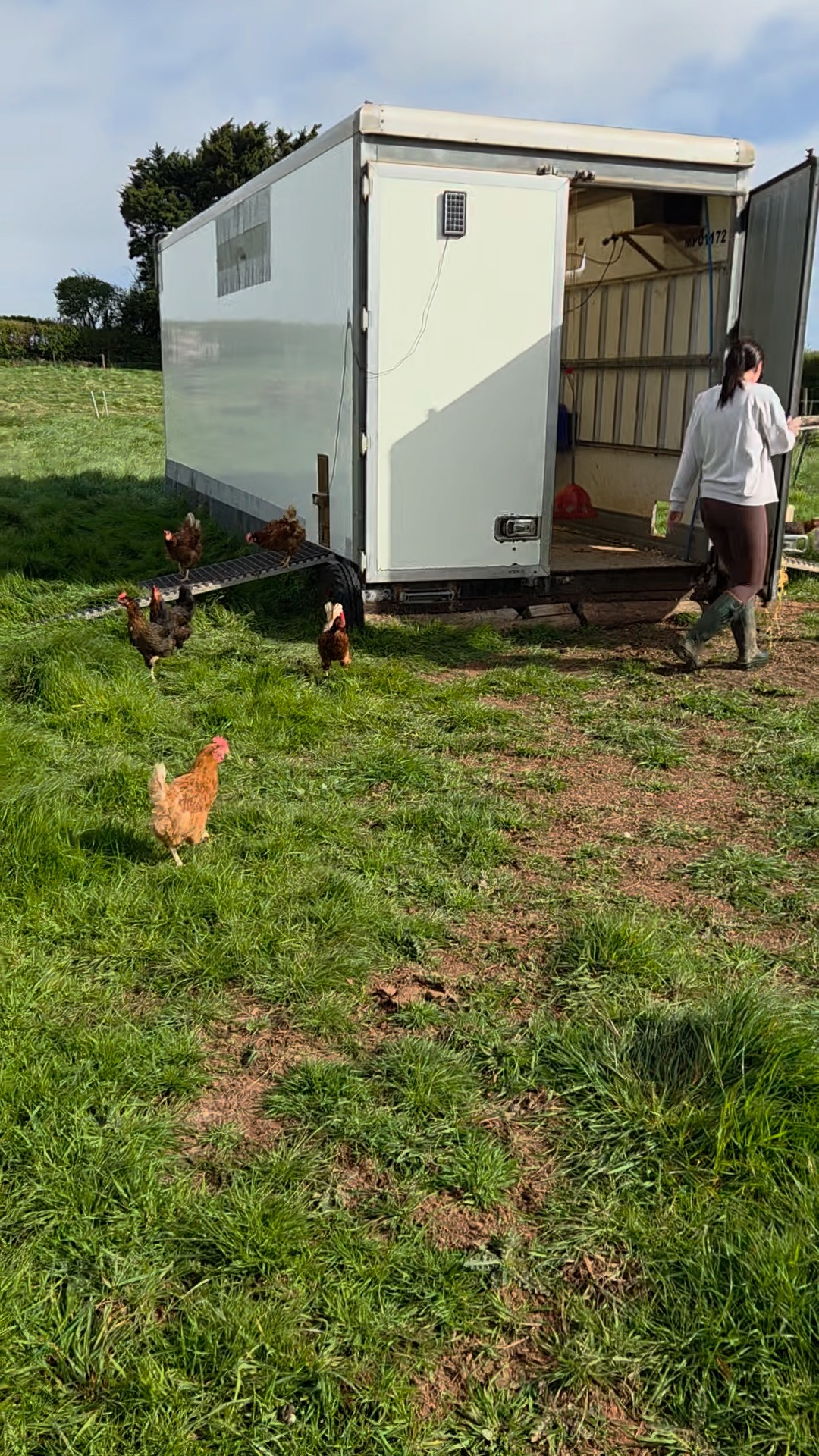 We and the chickens are very glad that the bird flu housing restrictions have now been lifted, which means they are able to get back outside and enjoy being free range again.
It is lovely to see them out in the fresh air, scratching about and doing what chickens do best.
We will of course still be keeping up with all the proper biosecurity measures here on the farm.
#FreeRangeAgain #HappyHens #LittleClayhillFarm