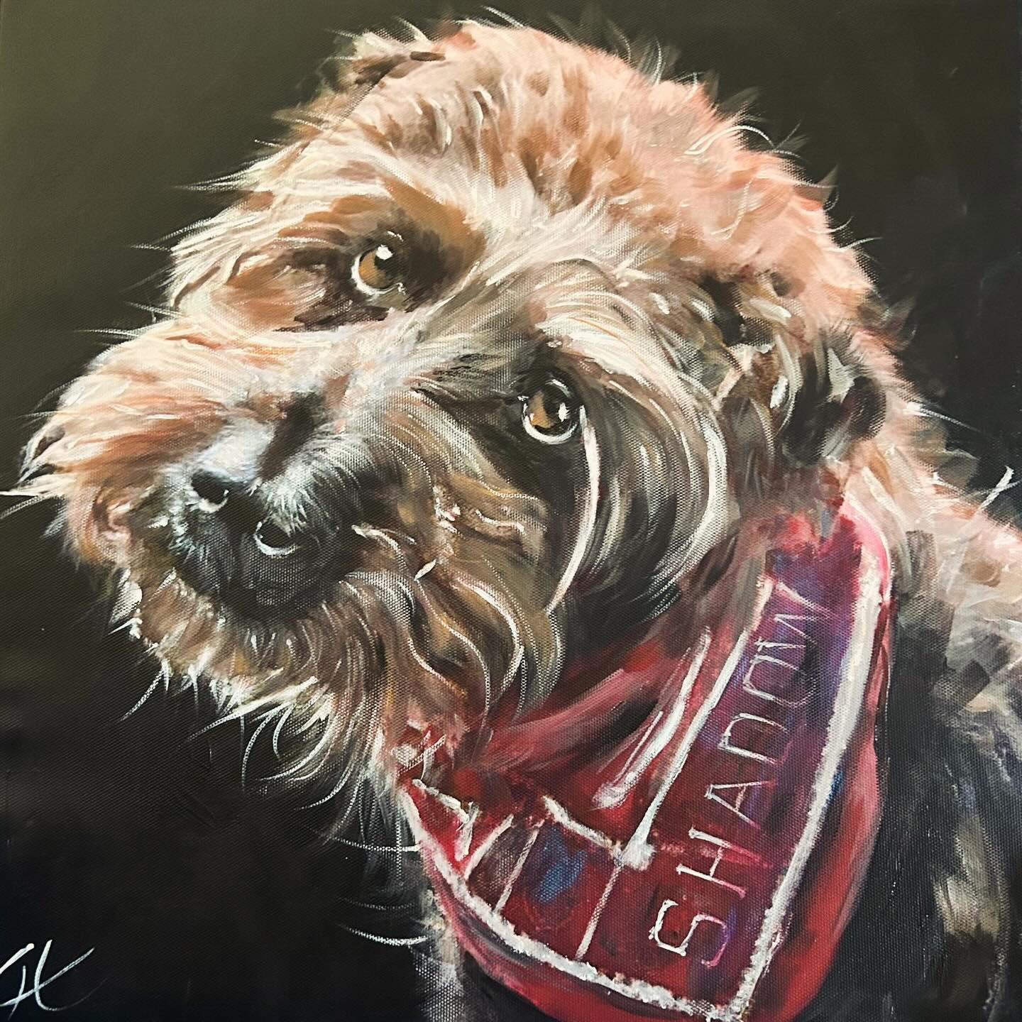 Meet Shadow! ๐ถ
Shadow is a Border Terrier. Did you know, Border Terriers have two coats? One hardier outer layer and a softer undercoat.
They are sociable, playful and get along with adults and children - a great family dog!
#thedogportraitist #dogportrait #petportrait #borderterrier #dogsofinstagram
@borderterriersclub @borderterrieradventures @jesse_the_borderterrier