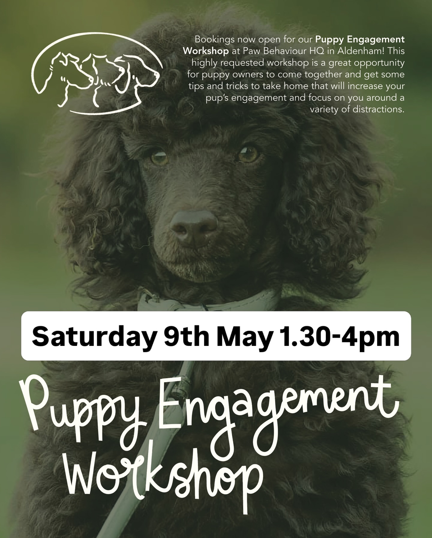 Puppy Engagement workshop available to book!
This fun interactive workshop is designed for puppy owners who want to boost their dog’s ability to focus and engage in high- distraction environments. Suitable for both young and adolescent puppies. Take home some great obedience exercises and high value games to play with your pup!
For more info, drop us a message or check out full details on our website.