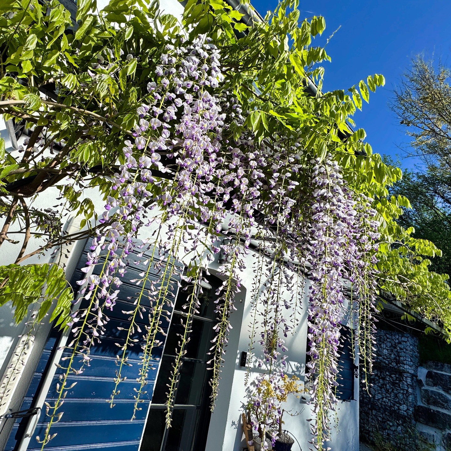 Front porch looking great this season.