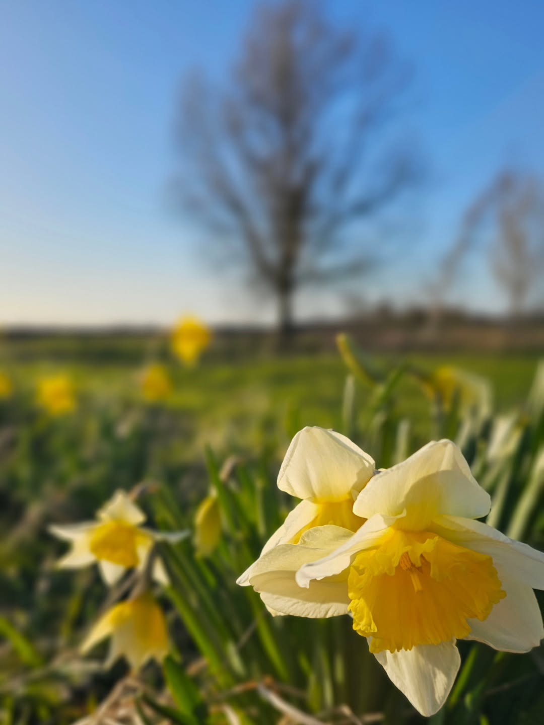 Guten Morgen vom Haus im Felde 🌞