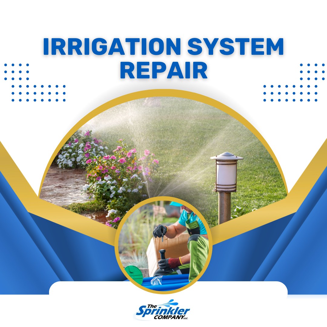 Is your irrigation system on but needs a tune-up?
If your irrigation system is up and running but showing signs of trouble — like leaking lines, broken heads, or faulty valves, don’t wait until it becomes a bigger issue.
✅ Head Replacements
✅ Leak Repairs
✅ Valve Malfunctions
✅ System Checkups & More
Our expert team will quickly diagnose and repair any problems to keep your lawn lush and your system running efficiently all season long.
www.thesprinklerco.com/services
856-931-0041
#TheSprinklerCompany #IrrigationRepair