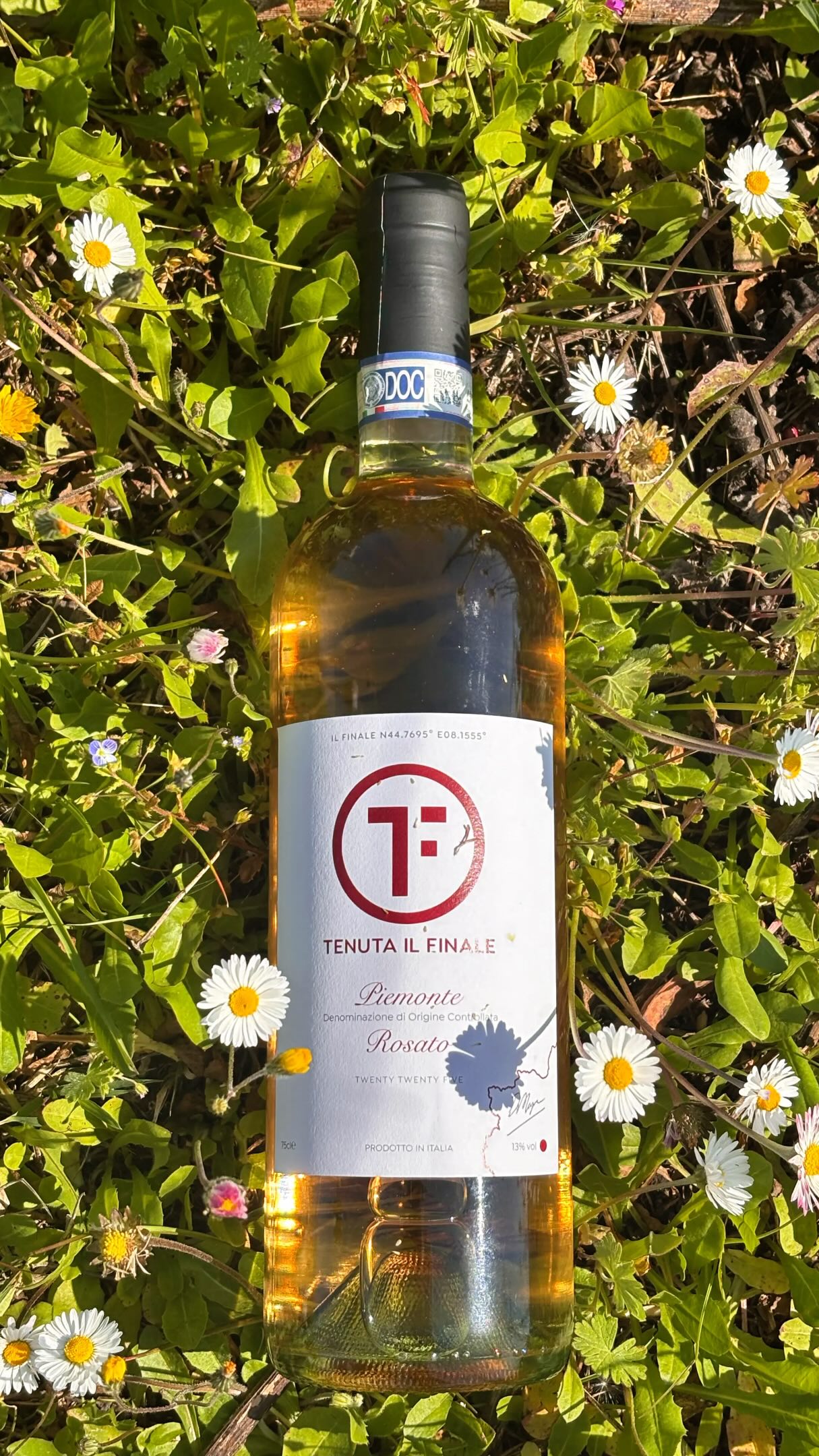 Spring has arrived in the glass 🌸
Our Rosato Delicato is here. Crafted from Dolcetto, reimagined in its lightest, most elegant form. Soft blush in colour, delicate in structure, gentle red berry notes and a touch of vibrancy.
It’s the wine for long lunches that turn into golden evenings. Perfect for the first warm days and for slowing down with friends and family.
From our vineyard to your table - this is Spring, bottled. And you can order from our cellar below 👇
We’d love to know… where would you open your first Rosato Delicato? 🍷
.
.
#piemontewine #rosatowine #wine #italianwine #italy