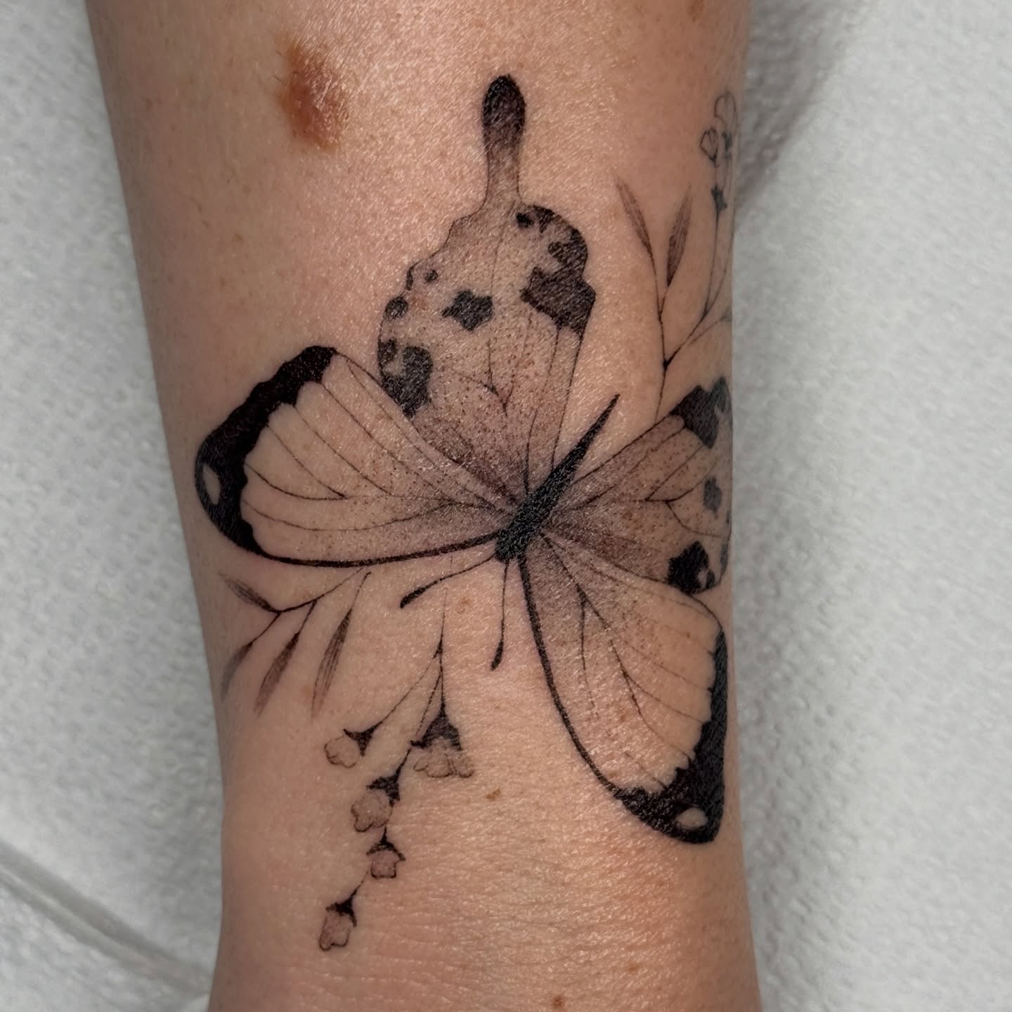 Freshly healing butterfly on my sweet friend and coworker, Taylor 🥹🤍 Love you bb girl! @tmoneytatz
•
#tattoo #butterflyTattoo #finelineTattoo #coloradoTattoo #boulderTattoo