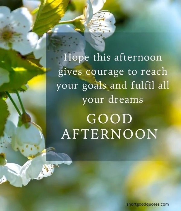 Good afternoon one & all❤️💛💚🖤