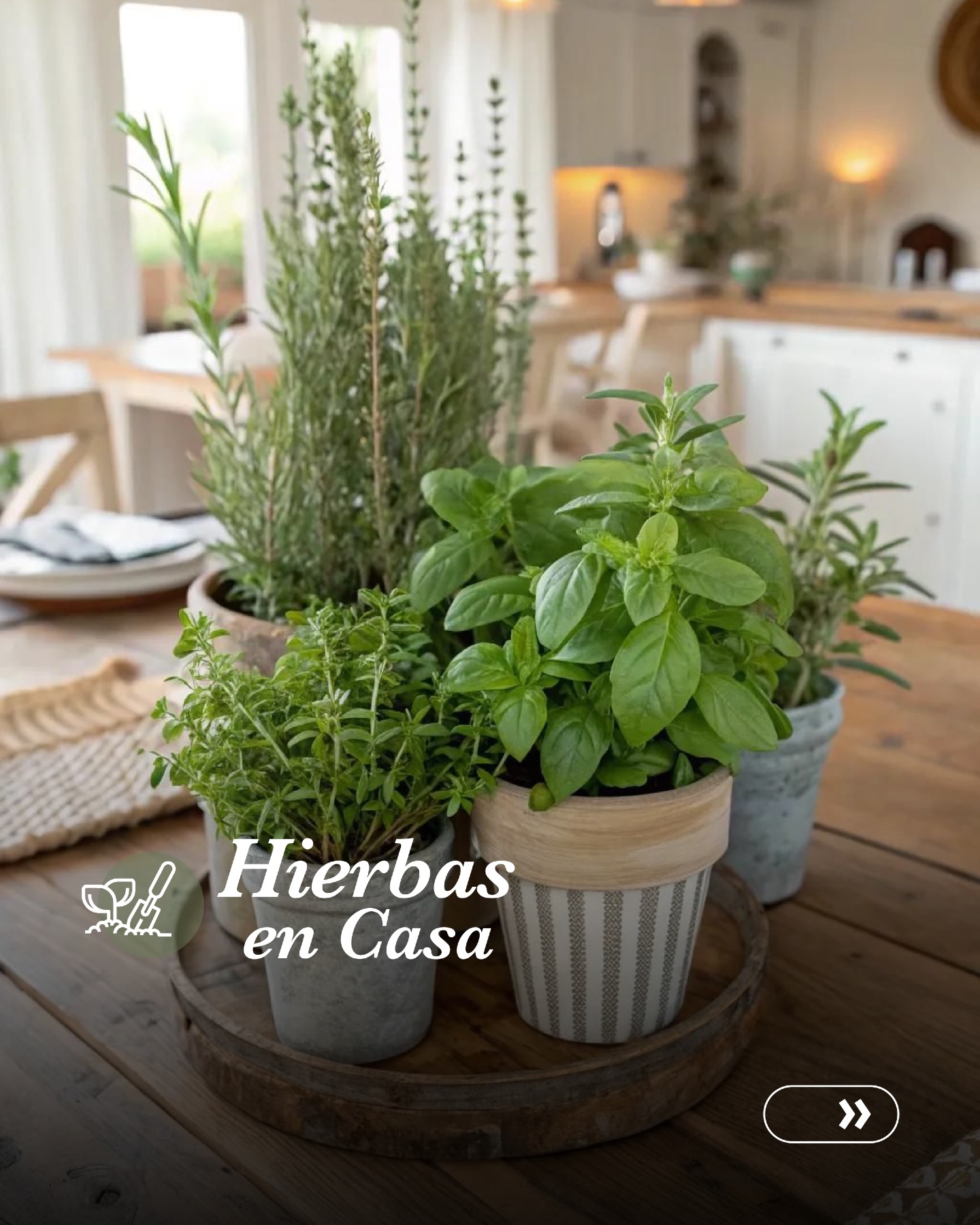 No hay comparación entre una hoja recién cortada y una hierba seca de frasco.
⠀
𝗔𝗹𝗯𝗮𝗵𝗮𝗰𝗮 fresca para pastas y ensaladas
𝗥𝗼𝗺𝗲𝗿𝗼 para carnes y papas al horno
𝗛𝗶𝗲𝗿𝗯𝗮𝗯𝘂𝗲𝗻𝗮 para limonadas y postres
𝗣𝗲𝗿𝗲𝗷𝗶𝗹 para sopas y terminaciones
⠀
El aroma se activa al instante, los aceites esenciales están en su punto máximo y el sabor es más intenso y natural.
⠀
Contáctanos: (604) 4237774
Visita nuestra página web www.terra.net.co
⠀
#TerraPradosyJardines #MantenimientodeJardines #Jardín #Huertoencasa #Huerta