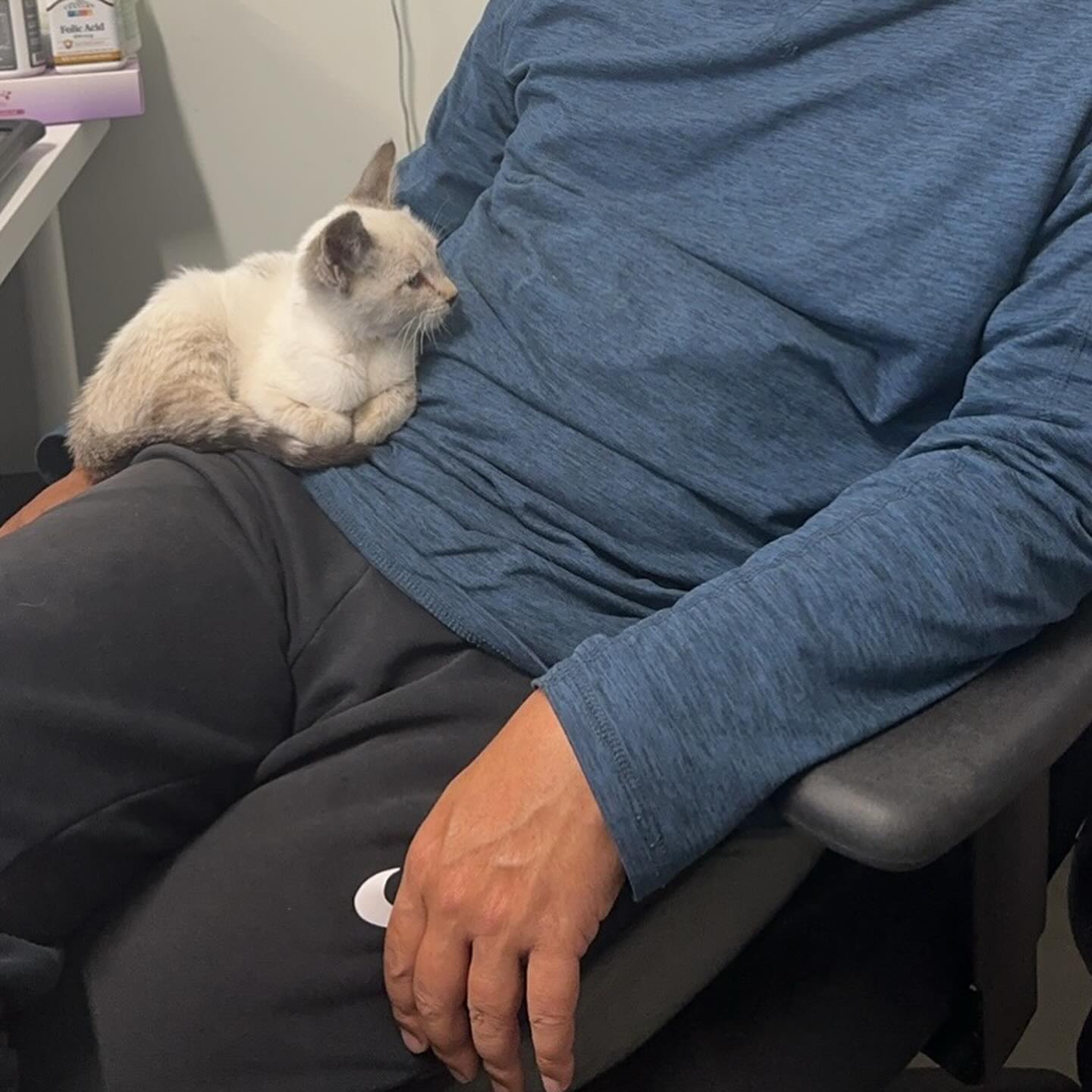 We have a new designer now.