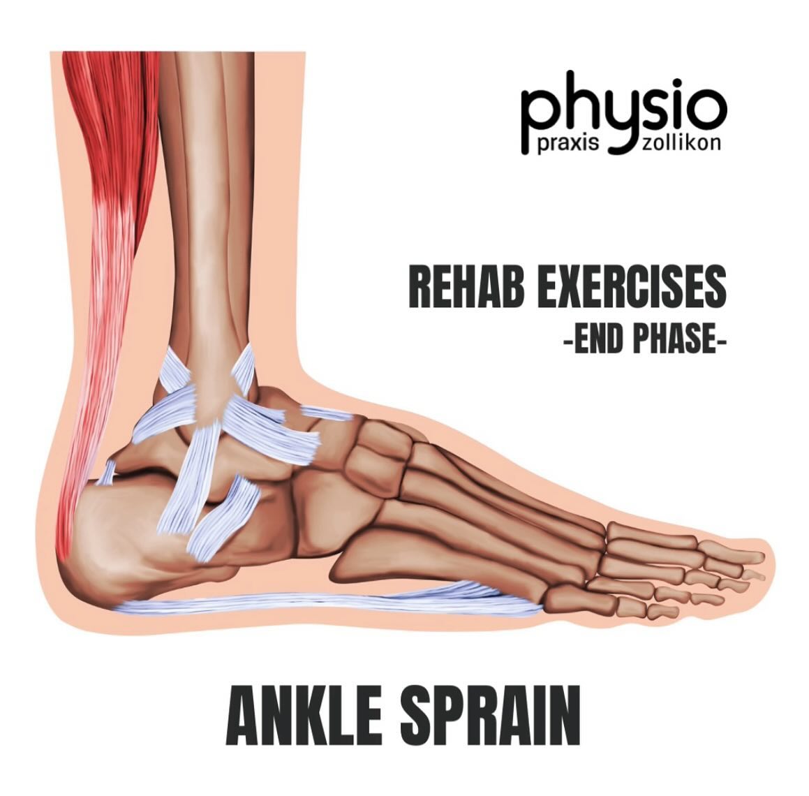 ‼️Ankle sprain rehab exercises - end phase ‼️
Ein Umknicktrauma (OSG-Distorsion) ist einer der häufigsten Verletzungen im Sport.
Hier seht ihr 8 Übungen, die dazu beitragen können die Stabilität und Propriozeption des Sprunggelenks für statischen und dynamischen Anforderungen nach einem Umknicktrauma zu verbessern.
1️⃣. Zehenspitzenstand im Split Squat
2️⃣. Seitliche Sprünge
3️⃣. Boxjumps
4️⃣. Sisser-Sprünge Koordinationsleiter
5️⃣. 360-Grad Sprünge einbeinig
6️⃣. Einbeinige frontale Sprünge aufs Balancepad
7️⃣. Einbeinige seitliche Sprünge aufs Balancepad
8️⃣. Sprint-Sprung-Kombination Koordinationsleiter
Wir empfehlen bei den Übungen 2-3 Sätze, je 10-15 Wiederholungen, mit keinen Schmerzen bis leichte/moderate Schmerzen (die schnell verschwinden) während und nach der Übungsausführung.
Haftungsausschluss: Die Inhalte werden mit großer Sorgfalt ausgearbeitet, ersetzen jedoch keine individuelle fachliche Untersuchung und Behandlung durch einen Arzt oder Physiotherapeuten.
⚠️💪🏽 Möchtest du einen individuelleren Reha- oder
Trainingsplan um deine Ziele zu erreichen, vereinbare gerne einen Termin in unserer Praxis. Denn Link dazu findest du oben in der Bio auf unserem Profil.
#rehab #exercises #rehabilitation #osgdistorsion #anklesprain #anklemobility #stability #stabilitytraining #physiopraxiszollikon #health #physiotherapie #physio #physiotherapy #gesundheit #sport #training #fitness #therapie #physiotherapeut #physiolife #bewegung #moveyourbody #zollikon #zürich