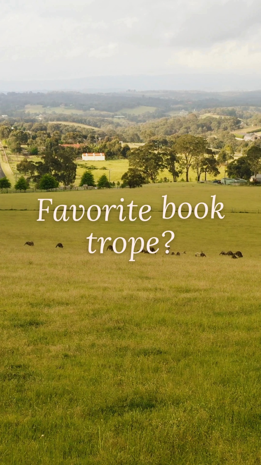 Enemies to lovers? Small town? Second chance? 🤍
I want to know what you always come back to 👇
#bookstagram #books #reading #booklover #booksofinstagram #bookish #amreading #readmorebooks #Christianfiction #Christianbooks #Christianromance #cleanreads #faithreads #romancebooks #newbookalert #mustread #readersofinstagram #Christianauthor #bookcommunity #KatieCorwinBooks