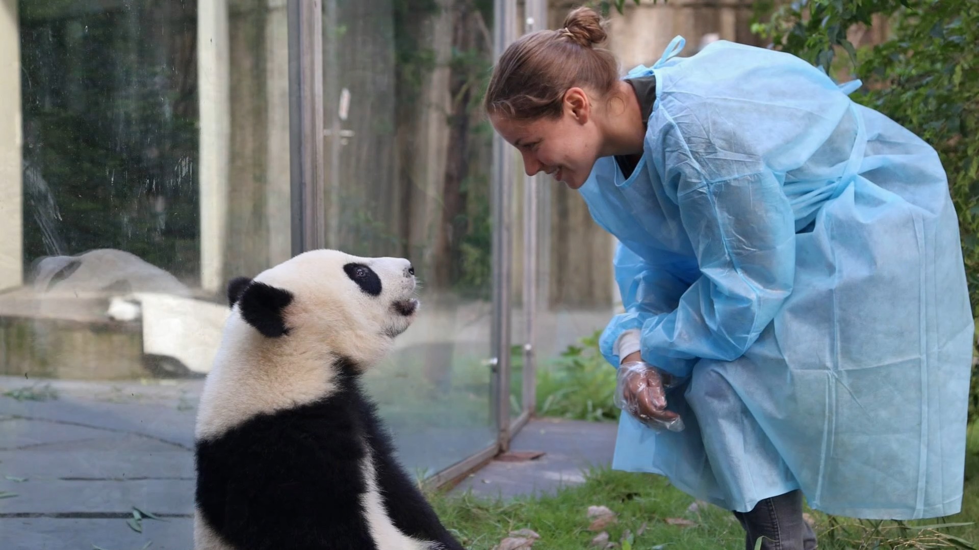 Hi, I'm Melissa, founder of Just Do Good Design Co.
I partner with environmental nonprofits to help them bring their mission to life through good design.
My passion for conservation goes way back. From saving pandas in China to volunteering locally, this work is personal to me.
Today, I use design to help nonprofits tell their stories, offering creative support that’s thoughtful, strategic, and easy to collaborate on.
After 10+ years designing full time, I've earned my merit badges in three areas: branding and events, editorial and reports, and campaigns and merch.
On the branding side, it's about helping organizations show up with credibility and consistency — identity systems and materials that make funders, partners, and donors trust you faster.
Editorials, donor reports, impact reports, annual reports, and brochures are great ways to show wins, deepen engagement, and build long term donor support.
Events design can span full identity, signage, merch, and giveaways that help turn attendees into long-term supporters.
If you're doing meaningful work for people and planet, let's make sure the world can see it.
Let's do good work — together.