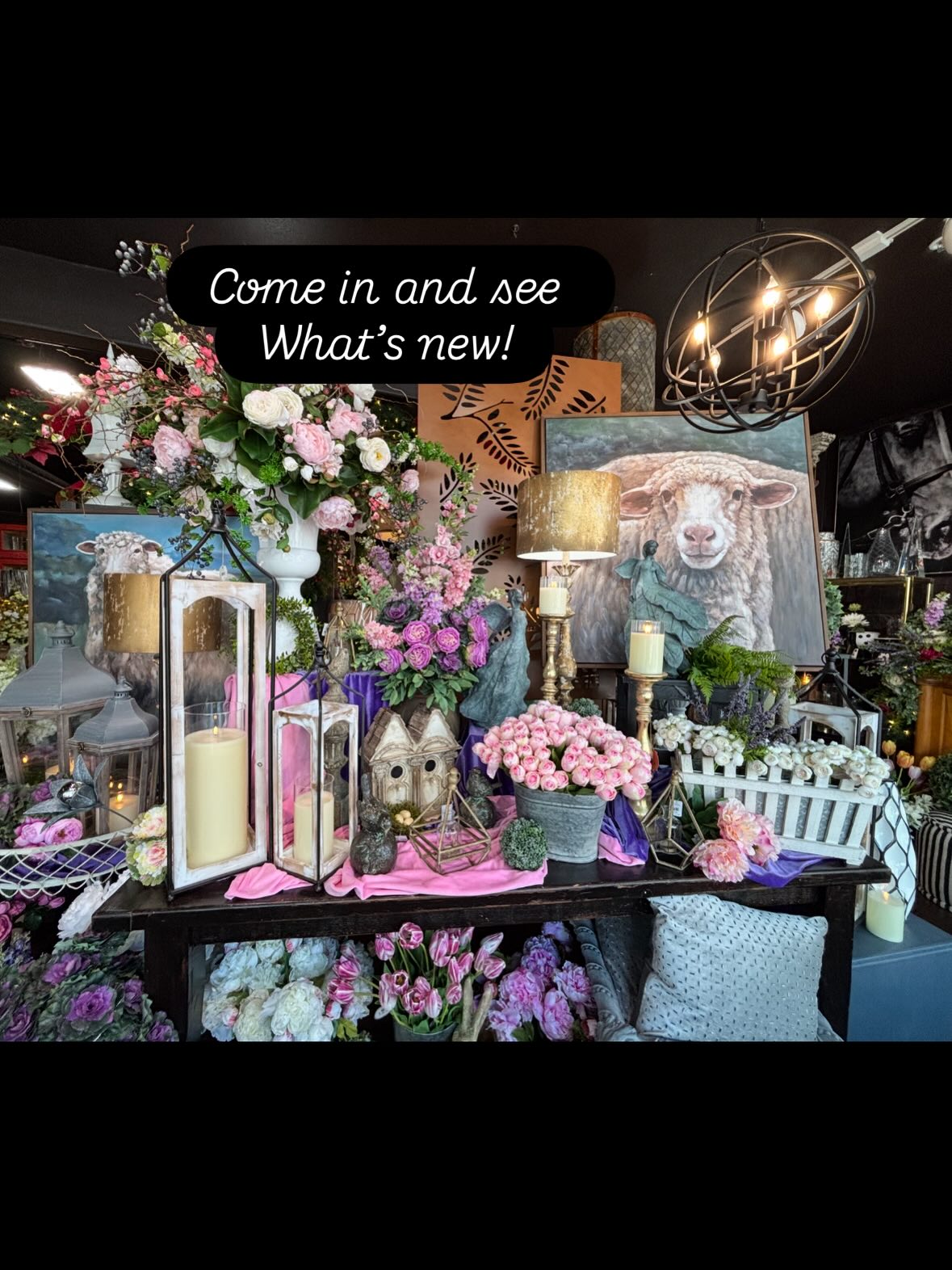 Come on in and see what’s new.
,#spring ,#fox ,#raccoons ,#frogs ,#horse