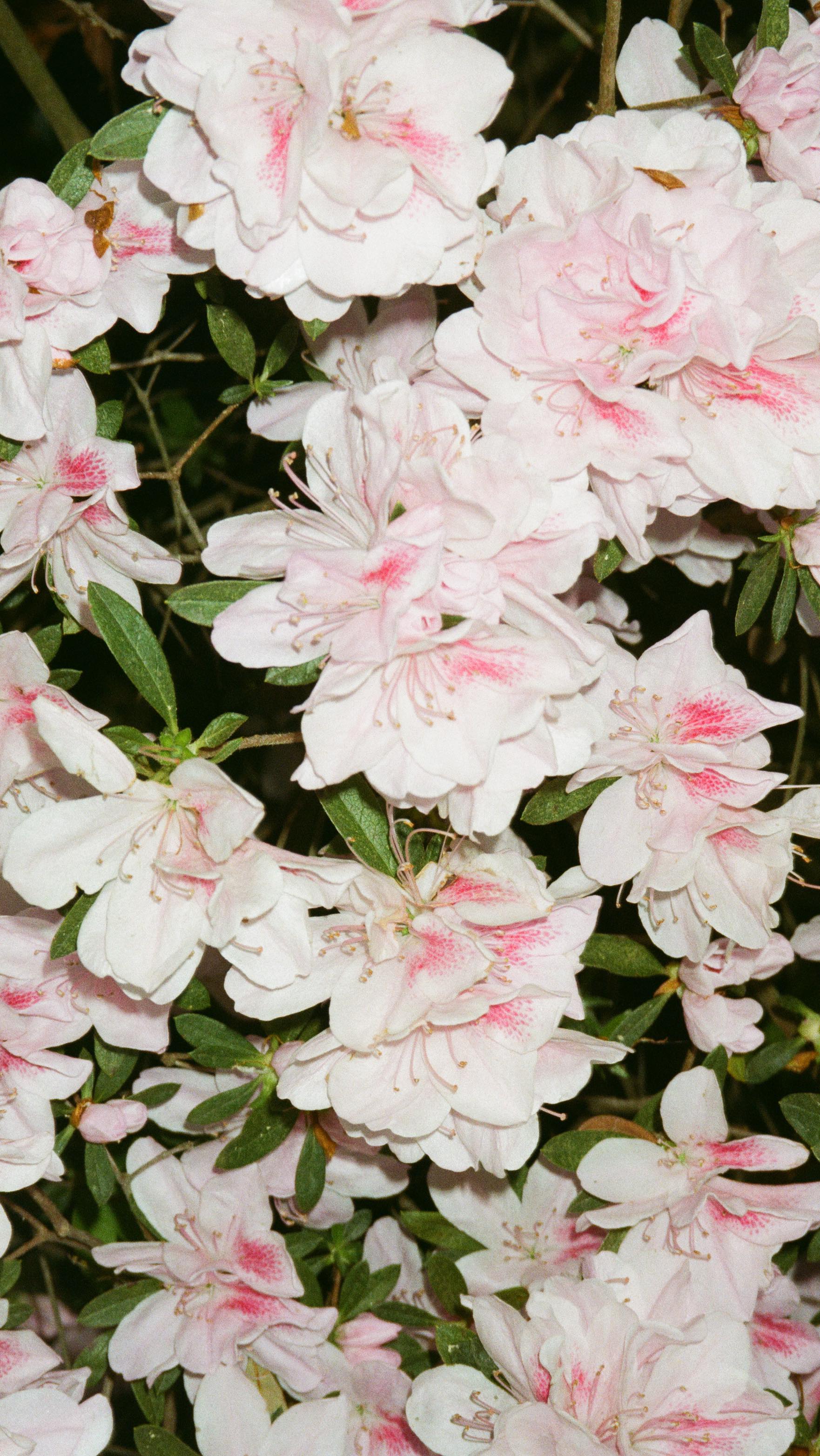 March was full of gorgeous shoots and fun trips!! Can’t wait to share more!