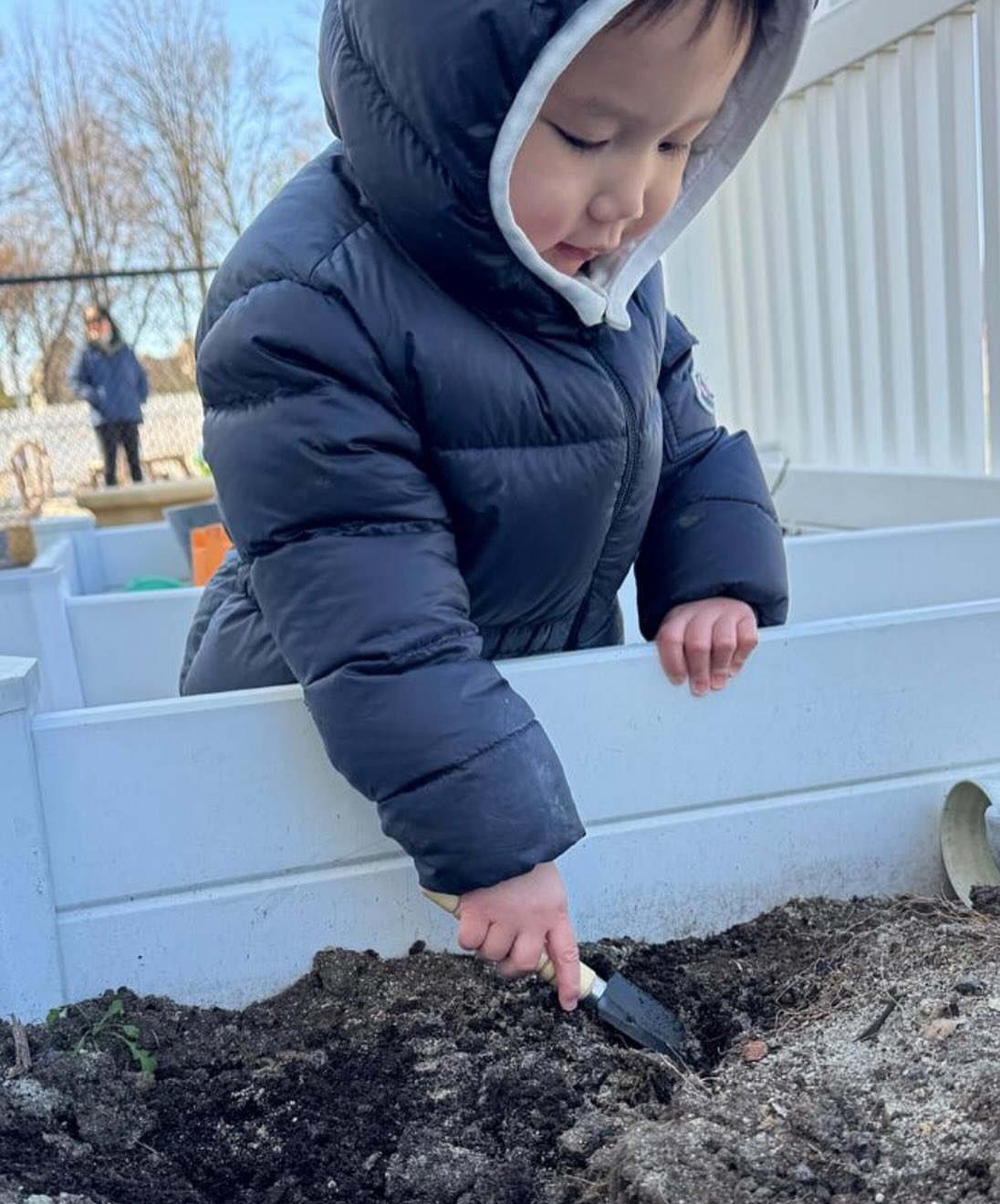 Toddler Class this week we explored spring planting through a hands-on activity! 🌱 The children observed red beans soak and grow, then carefully planted them in soil both in the classroom and our garden. With excitement, they told the seeds, “Grow quickly!” Now we wait together for those first tiny sprouts to appear and share in the wonder of new life.
#sunrisemontessorinatick #montessori #toddler #gardenwork #spring