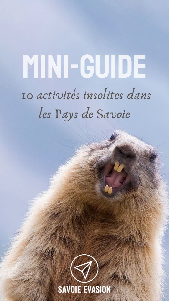 Trouver les meilleures activités lorsqu'on ne connaît pas le territoire ou les prestataires, ça peut paraître compliqué...
🌷Pour t'éviter ça, j’ai crée un mini-guide de mes meilleures activités insolites, dans les Pays de Savoie 🌼
Tu y trouveras:
- 10 activités insolites en Savoie et Haute-Savoie
- Mes conseils locaux de Travel Planner
- Les infos pratiques pour chaque activité
- Une carte interactive
- Un bonus !
🎁 Commente "INSOLITE" pour recevoir le guide gratuitement !
Et n'hésites pas à me faire tes retours 🤍
#savoie #hautesavoie #organisationvoyage #guide #insolite