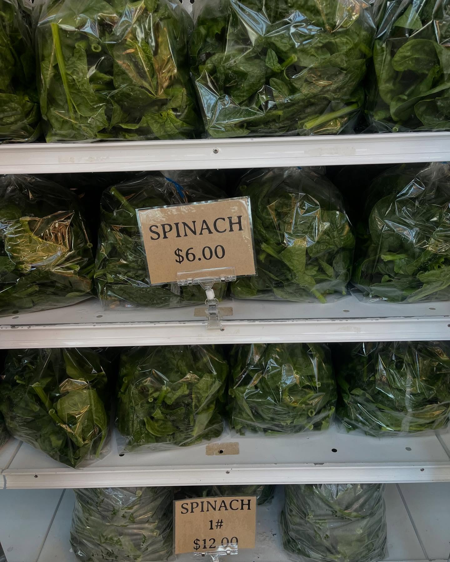 Opening Day! Come say hello 10:00-4:00 today through Sunday!
It’s a glorious spring day for a visit to the farm stand.
:
#longviewfarmstand #nhfarm #supportlocalfarmers #plants #veggies #springtime