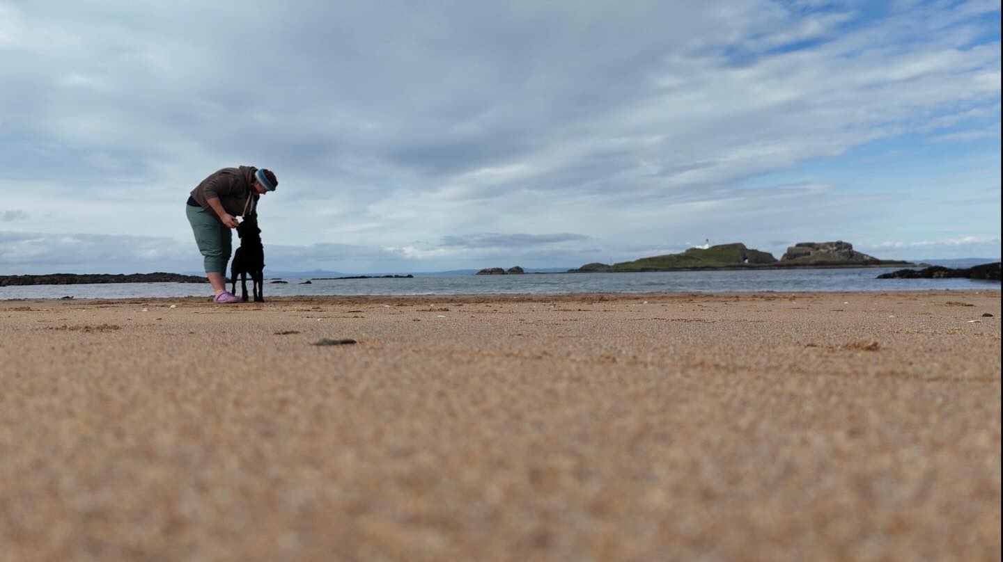 What a place to practice your water retrieves 👌🏻
#eastlothian #gundog #labrador #northberwick #scotland