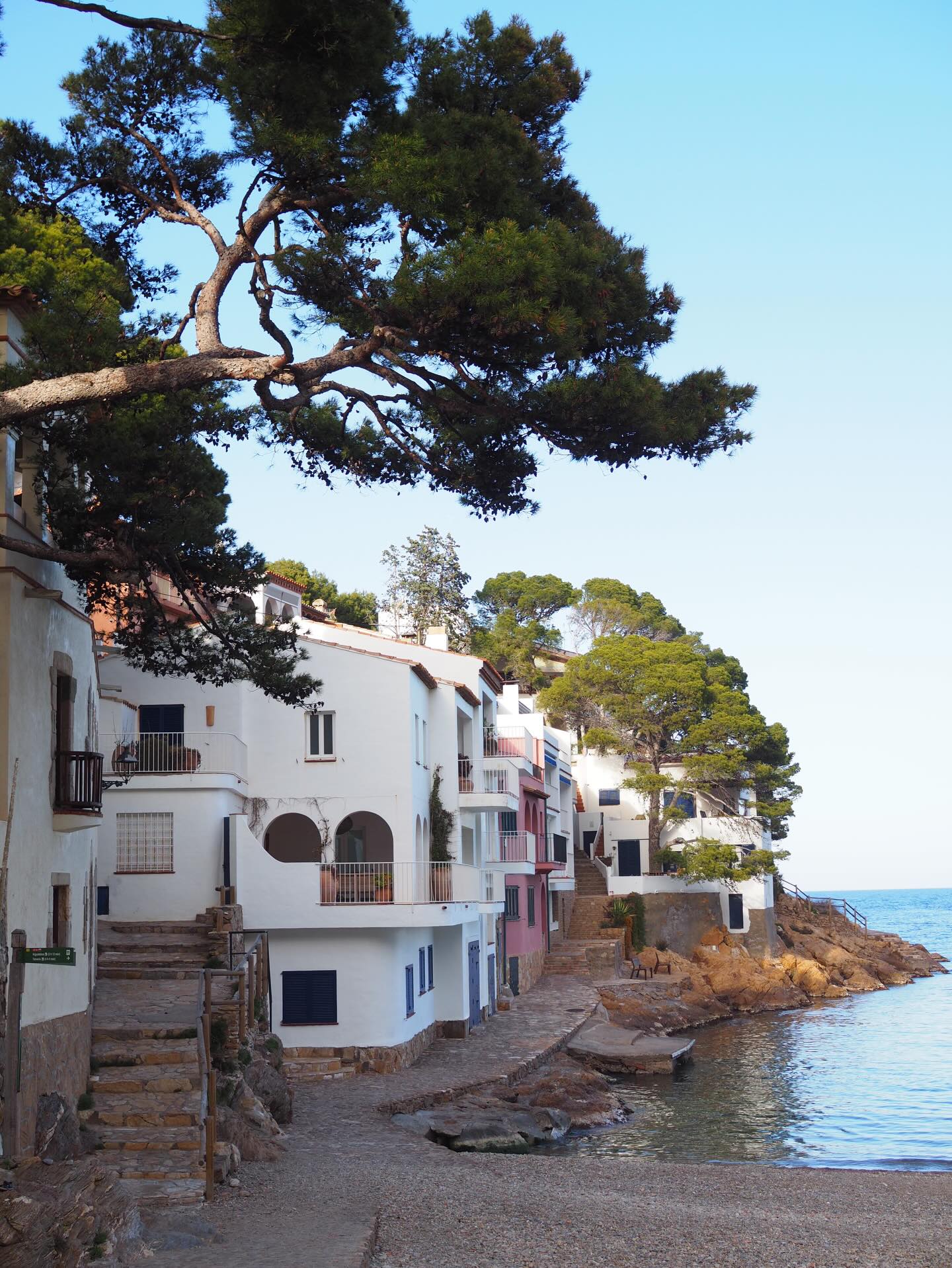 Ce tricot me rappellera à coup sûr ces chouettes vacances. 🌵🦞💙
Je l’ai détricoté deux fois mais cette fois je pense que c’est bon. Les calculs sont ok.
¡Vamos!
Fils . MT @yarnbysimone Couleur Old Pine
__________________________________
#atelieremiliedesigns
Tricot Knit knitting tricot plage
