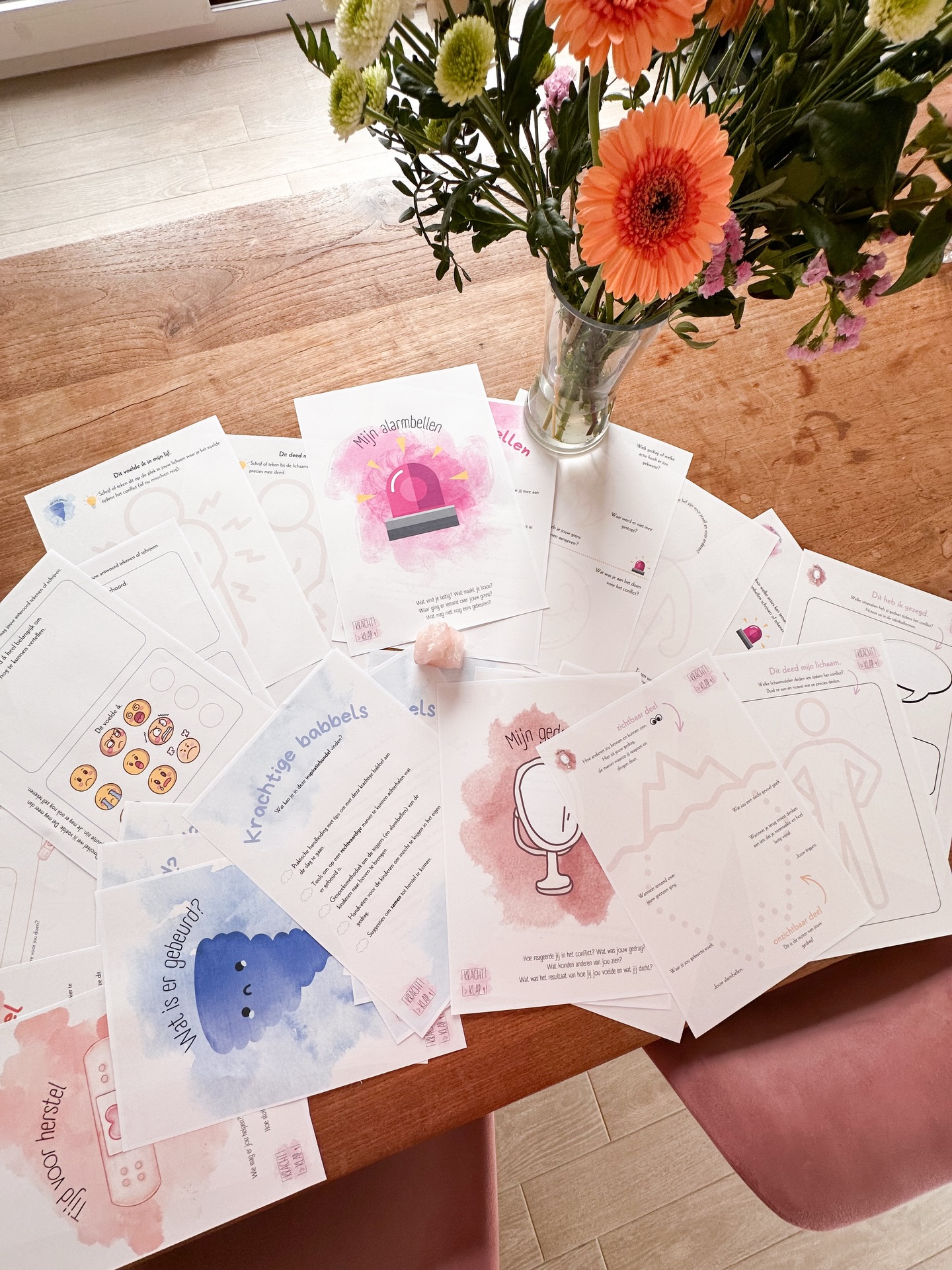 Krachtige babbel om op een rechtvaardige manier met kinderen in gesprek te gaan na een conflict.
Deze inspiratiebundel neemt je mee door 4 opbouwende stappen om samen met een kind of een groep kinderen aan de slag te gaan met de verwerking van een conflict:
✨Wat is er gebeurd?
✨Mijn alarmbellen
✨Mijn gedrag
✨Tijd voor herstel!
💡Je kan deze methodiek stapsgewijs doorlopen of materialen selecteren die goed voelen bij jou als kindprofessional en binnen de mogelijkheden van het kind liggen.
Deze inspiratiebundel telt 29 pagina’s en zijn een combinatie van handleiding, theoretisch kader en kant-en-klare werkbladen om in te zetten in jouw praktijk of school.
Zetten we samen in op duurzaam herstel na conflict?
Reageer CONFLICT om meteen de link naar de webshop te ontvangen! 🌻