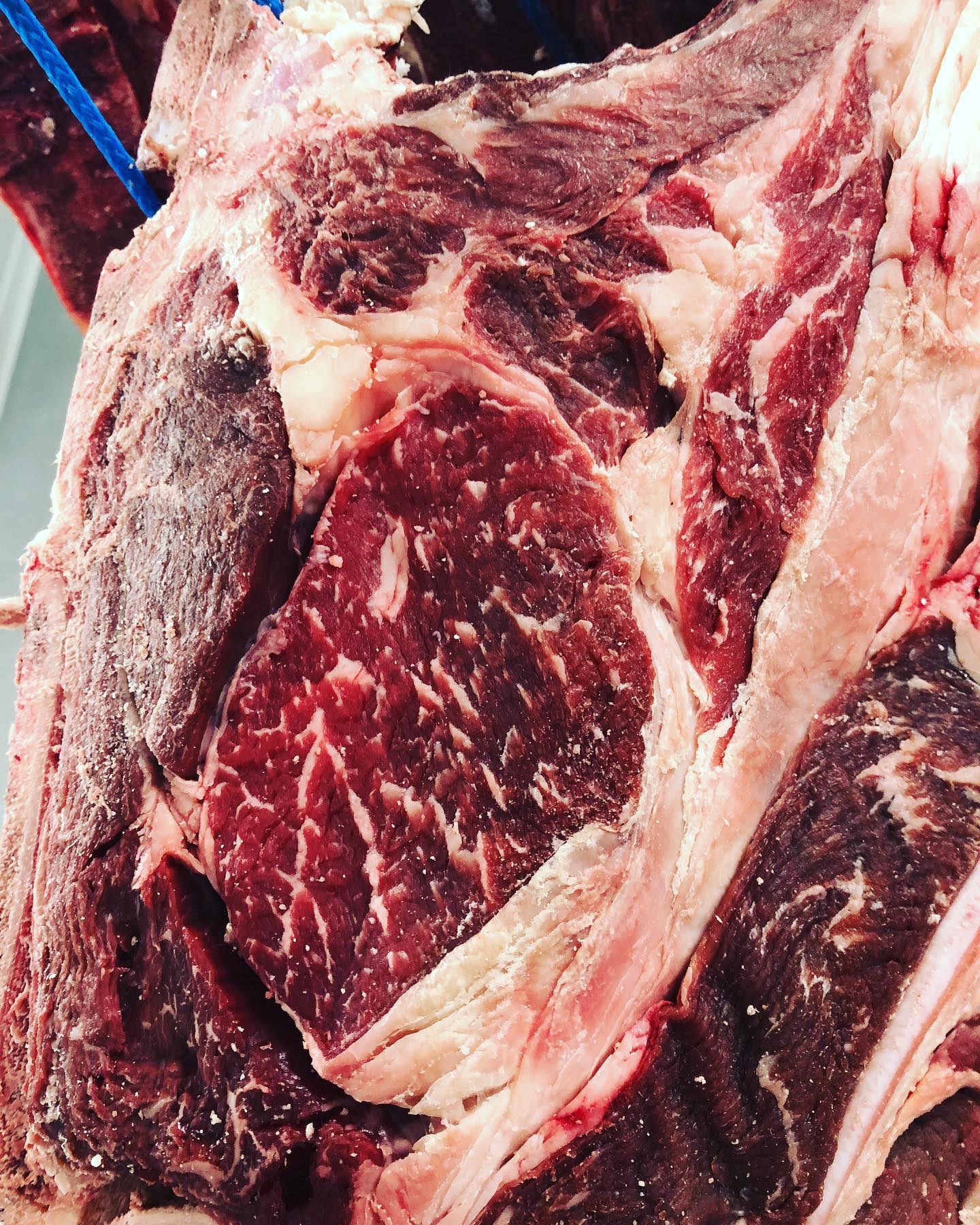 Ahhhh les belles anglaises 🇨🇰… je suis Angus, longhorn, shorthorn, belted Galloway… #viandesmaturées #corbas #boucherielyonnaiseorigine