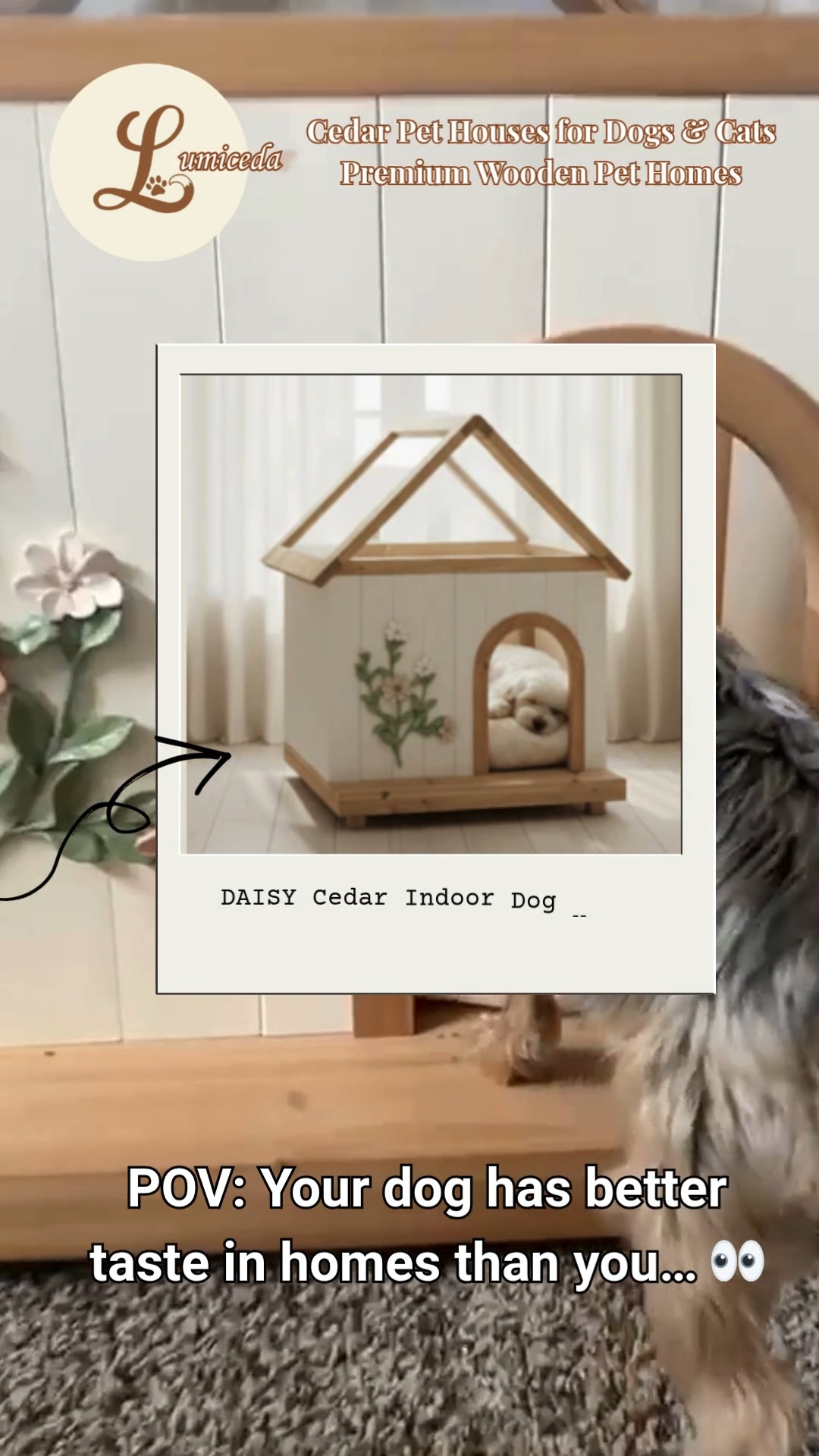 Not gonna lie… we didn’t expect this to become Joshua’s favorite spot in the house 🐾🏡
There’s just something about having a space that’s fully yours even if you’re 5 lbs and running the entire household 😌
We’ve been loving this piece from @lumicedar … it’s giving cozy, it’s giving “don’t disturb me, I’m important,” and honestly… same energy I want in every home I walk into.
If you’ve been thinking about upgrading your pup’s space (or let’s be real… spoiling them a little), this is a good place to start.
✨ You can use code RENEE15 for 15% off if you want to check it out here:
https://lumicedar.com/discount/Renee-15
👇 Tell me—does your dog have “their spot” in your house or do they own the whole place like Joshua?
#YorkieLife
#DogMomLife
#PetHomeUpgrade
#SpoiledDogClub
#DogLoversOfTikTok