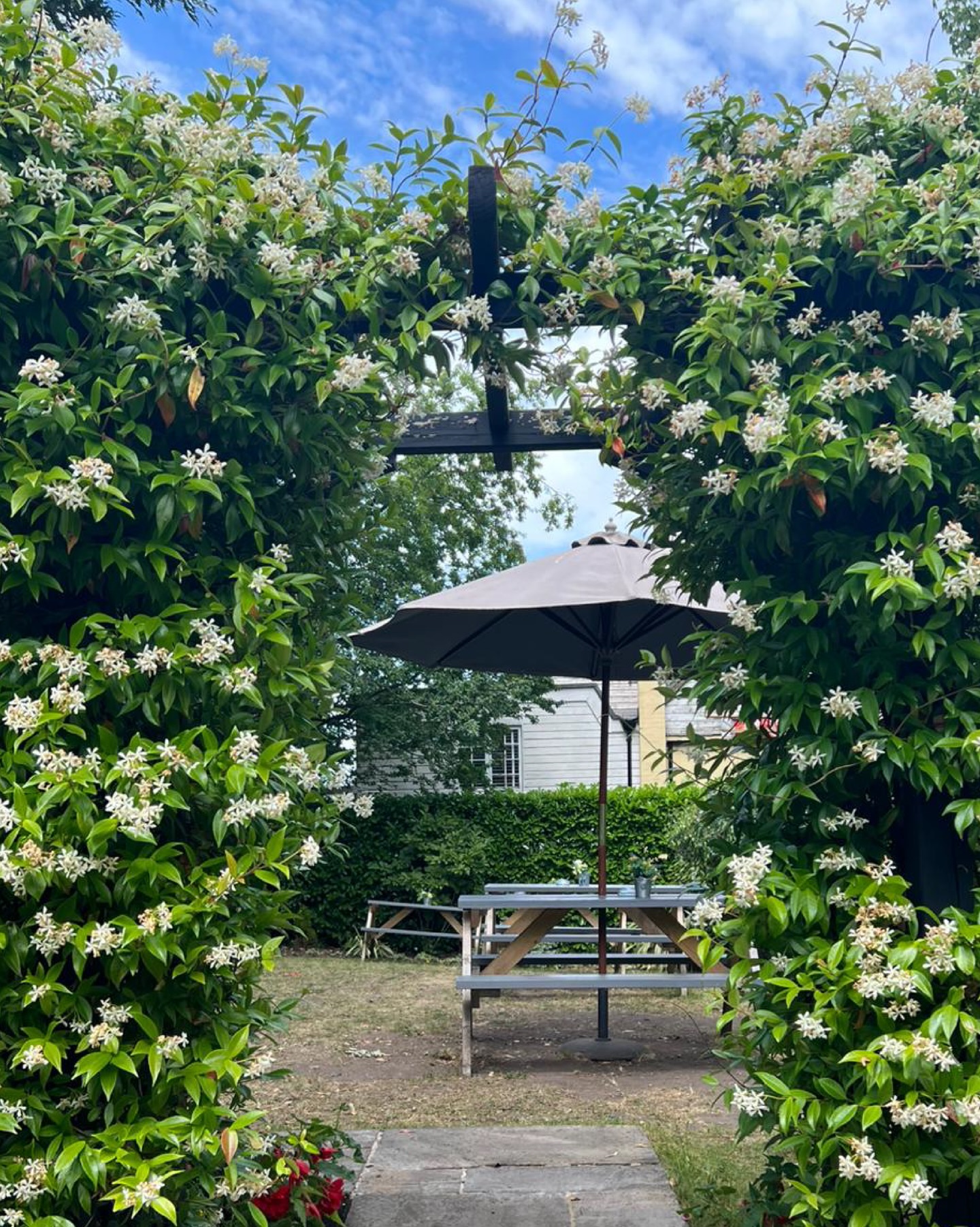 This week has finally felt like we’re on our way to a spring and summer of sunshine 🌞🤞🏼
Who else is excited for a crisp cold pint of lager or fresh and delicious glass of whispering angel in the garden? We’ll see you there 🥂
Book via the link in our bio 🔗 #thegrumpymole #beergarden #whisperingangel #pint